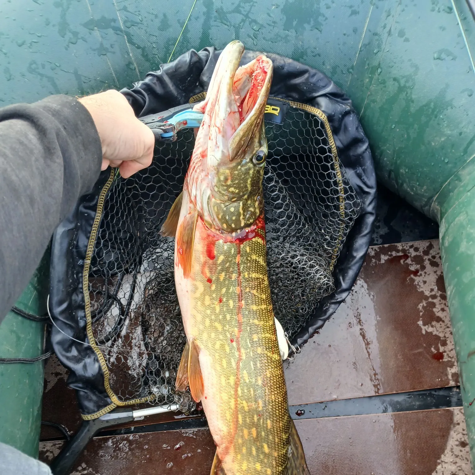 catch