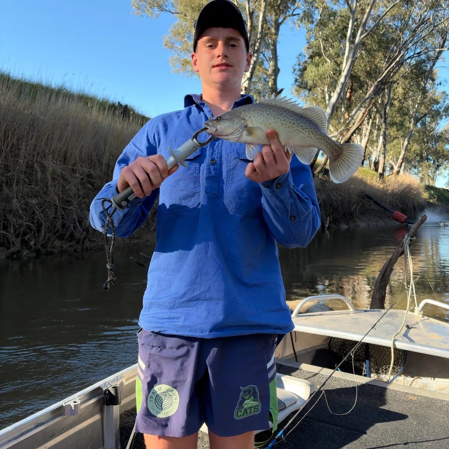 Trout cod caught on Fishbrain