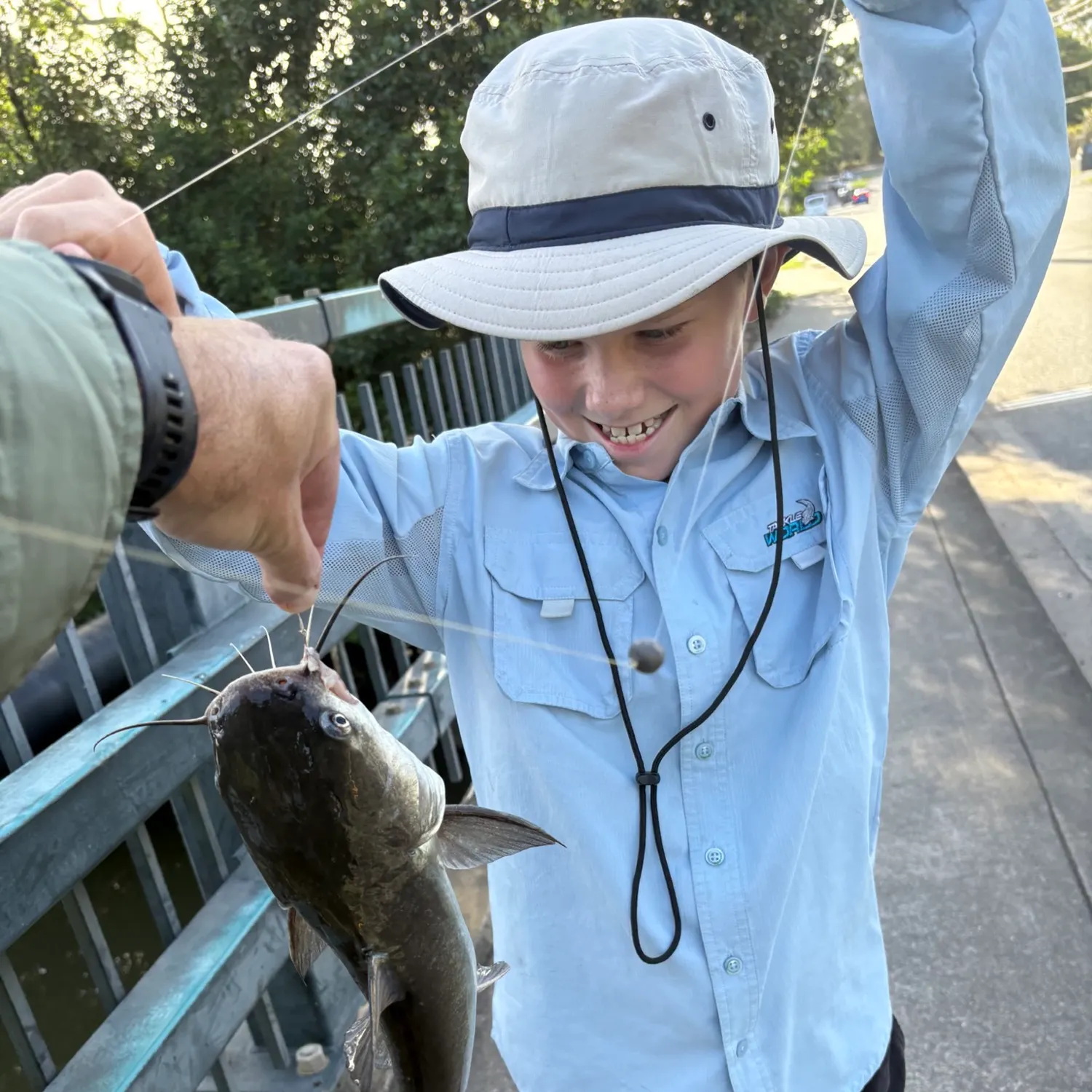 The most recent Amur catfish catches on Fishbrain