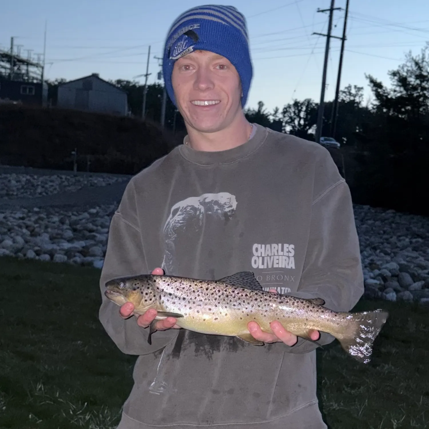 Brown trout caught on Fishbrain