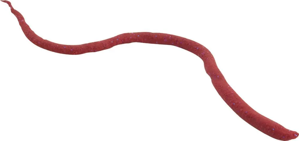 Saltwater Bloodworm