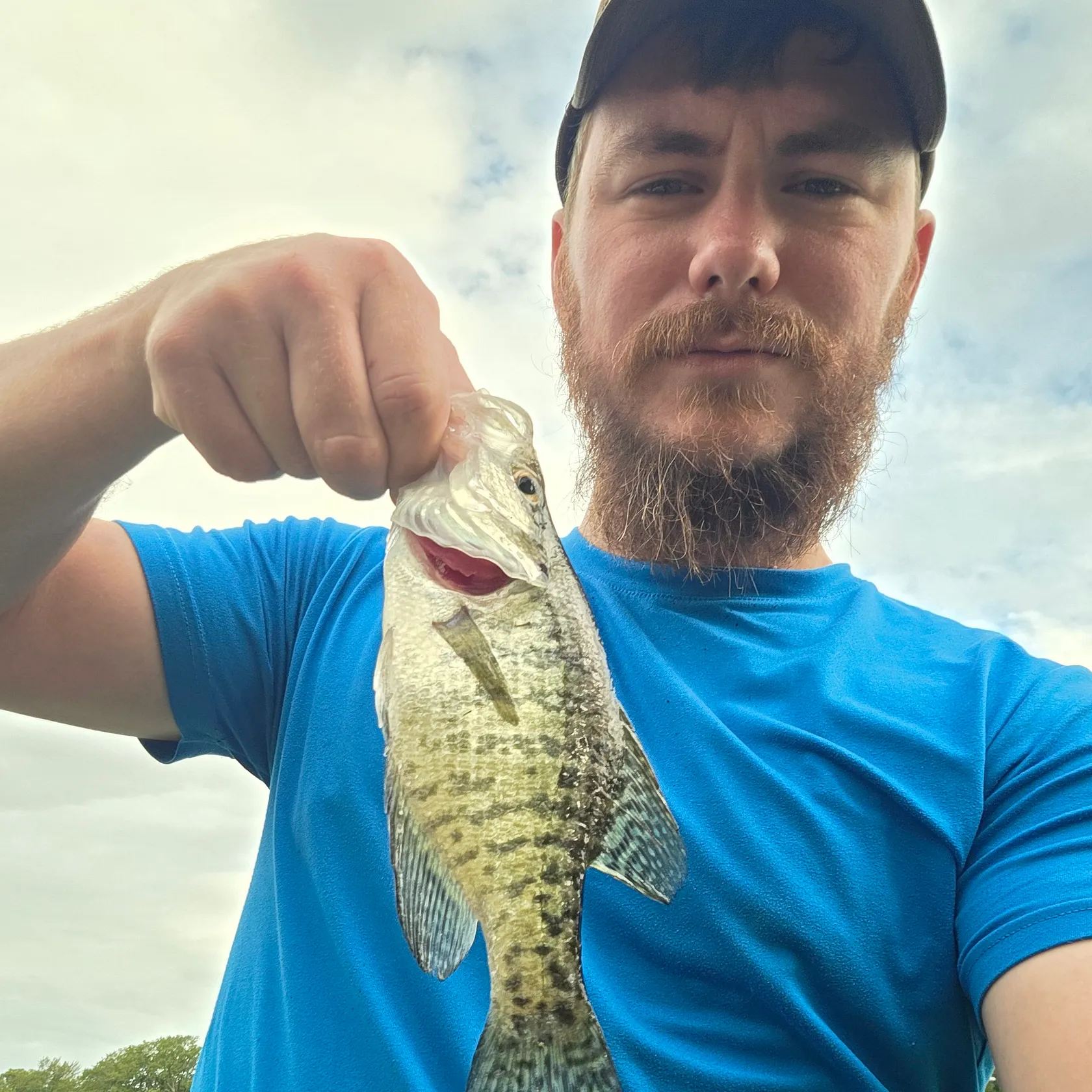 White crappie caught on Fishbrain