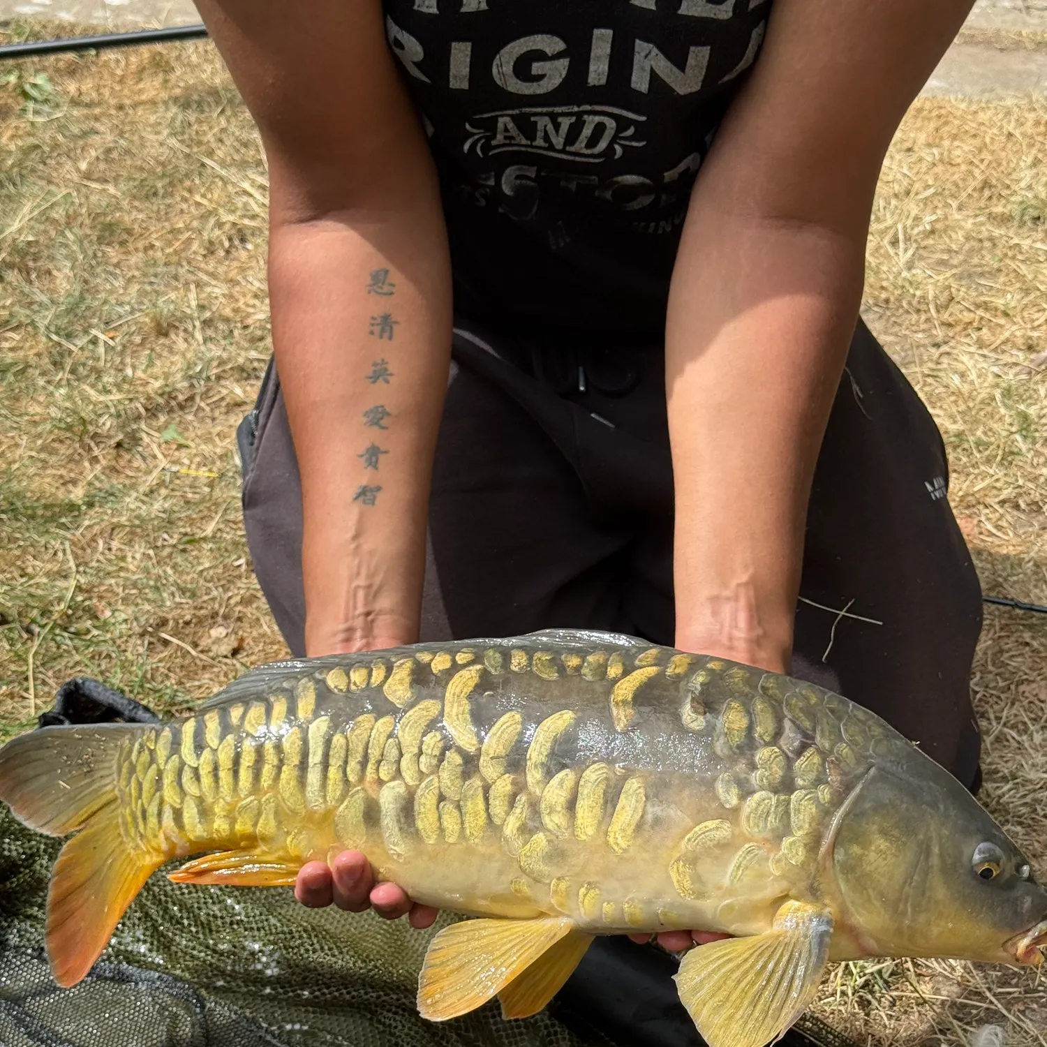 Mirror carp caught on Fishbrain