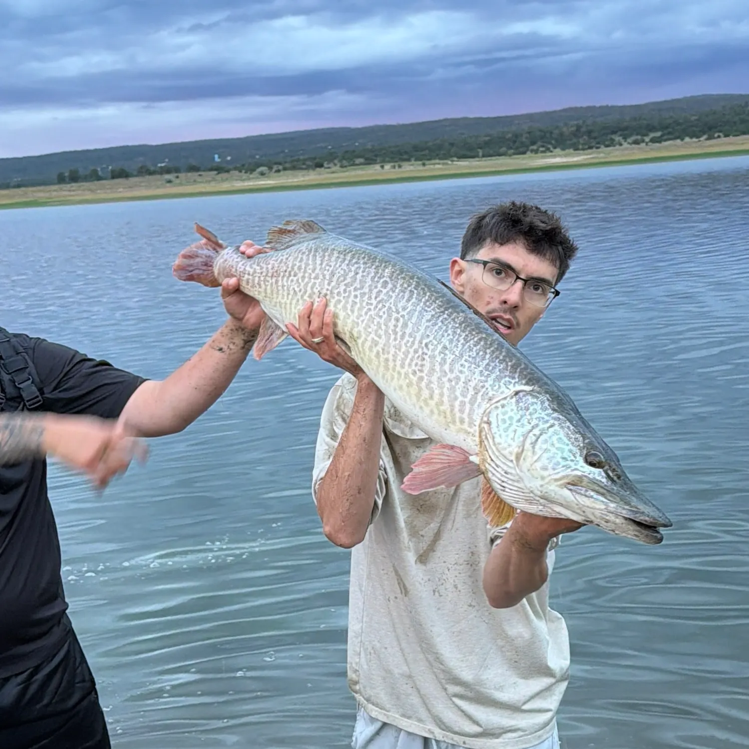 Tiger muskie caught on Fishbrain