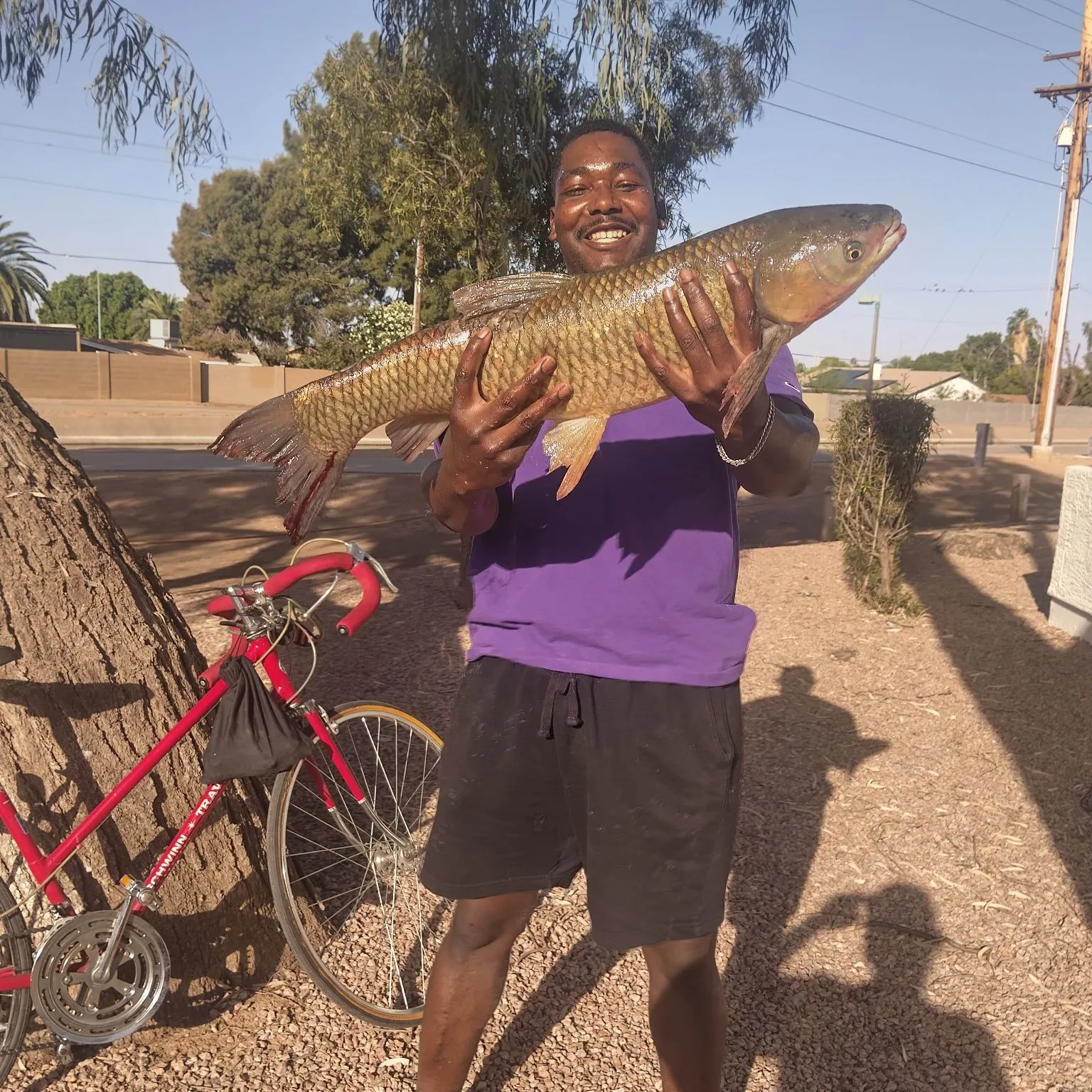 The most recent Grass carp catches on Fishbrain