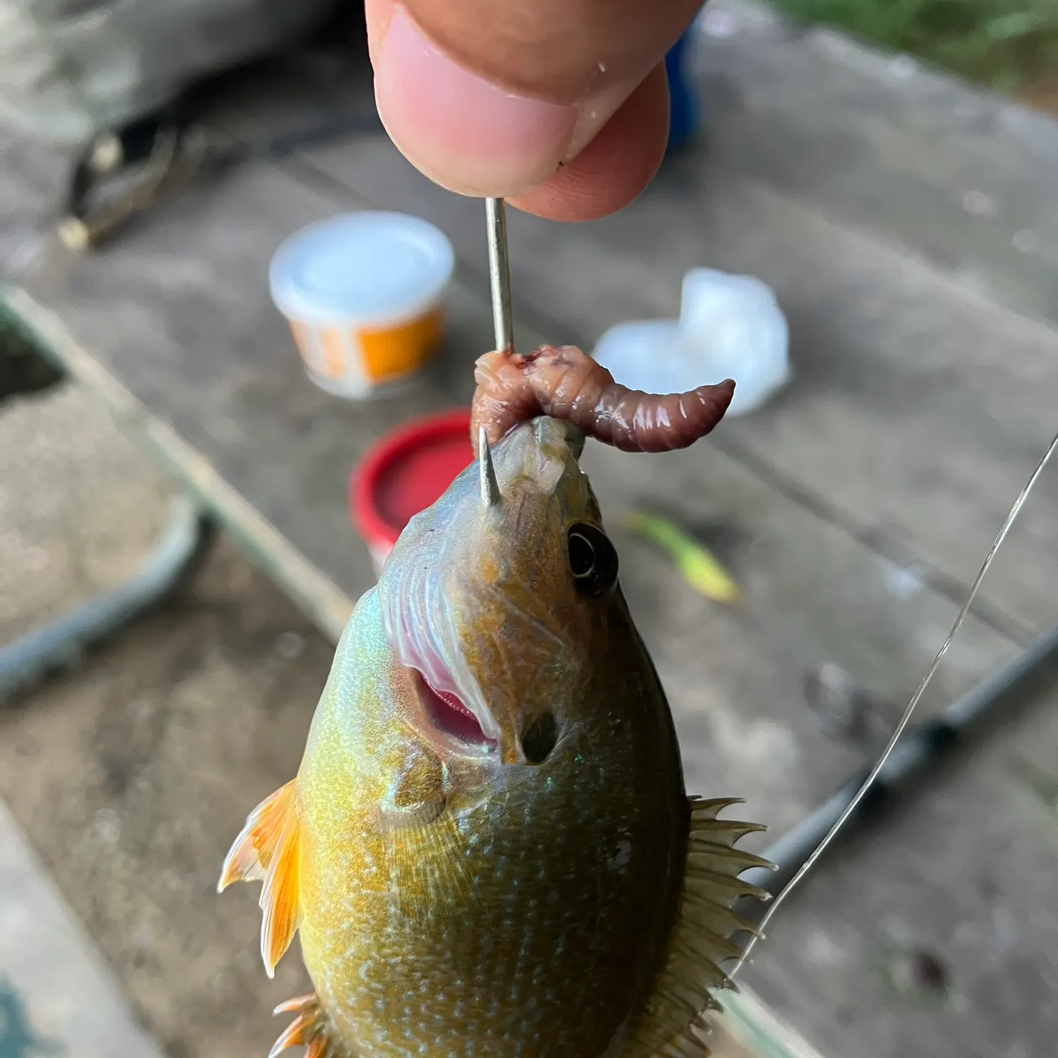 catch