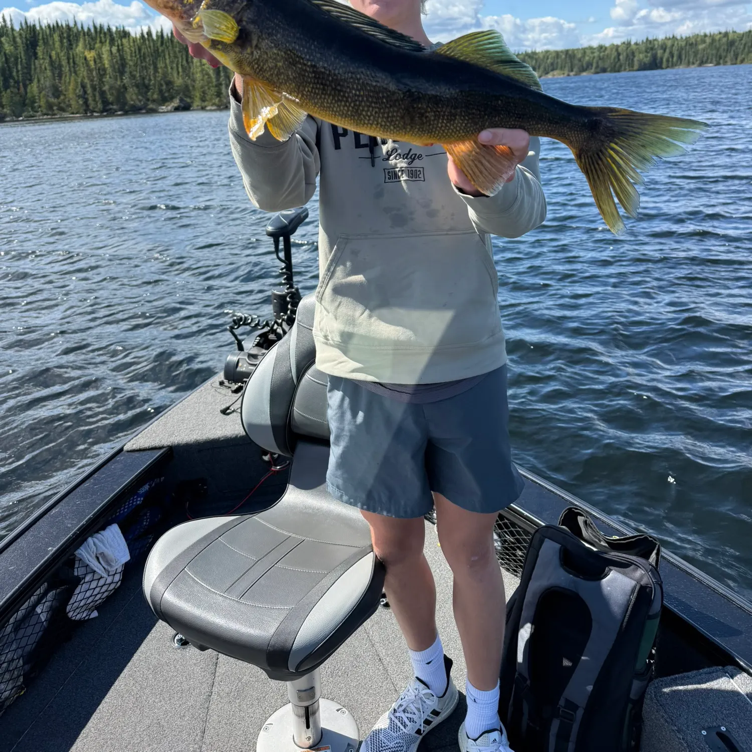 Walleye caught on Fishbrain