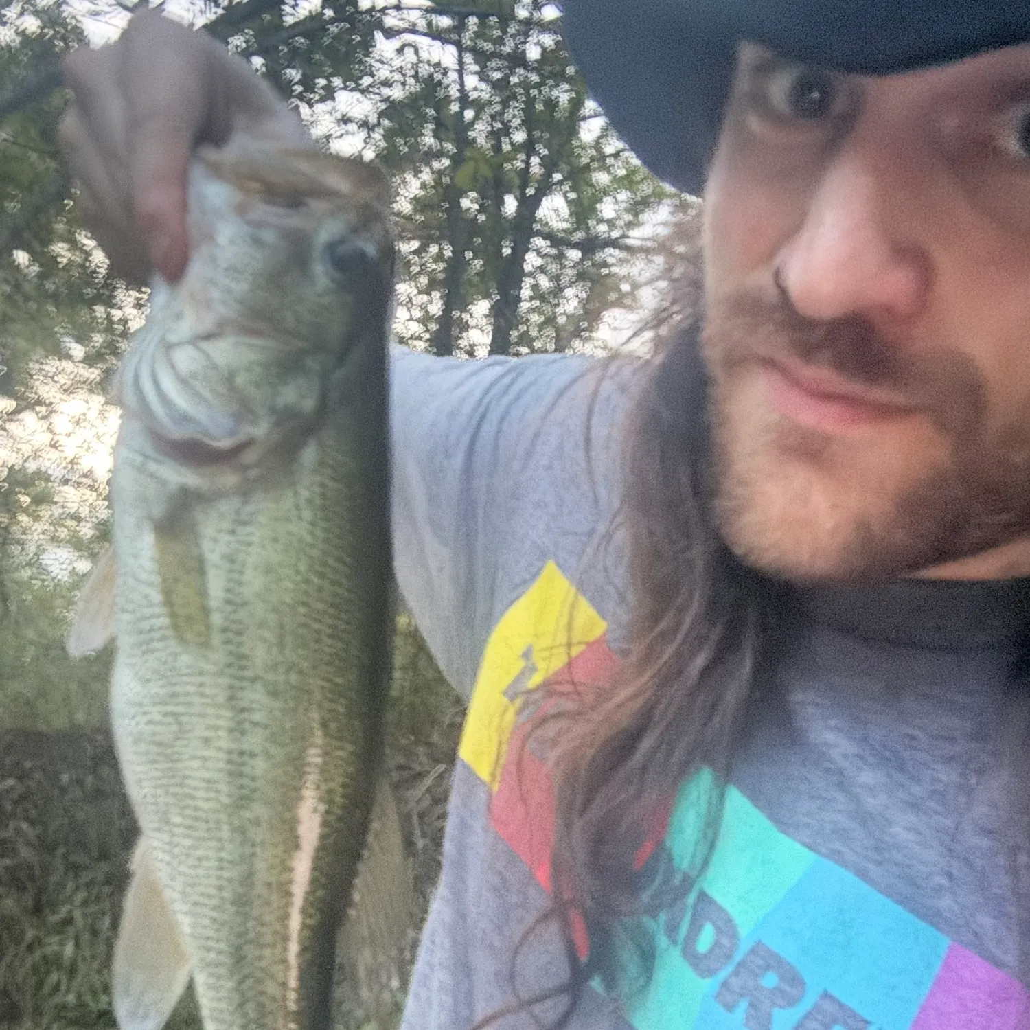 Largemouth bass caught on Fishbrain