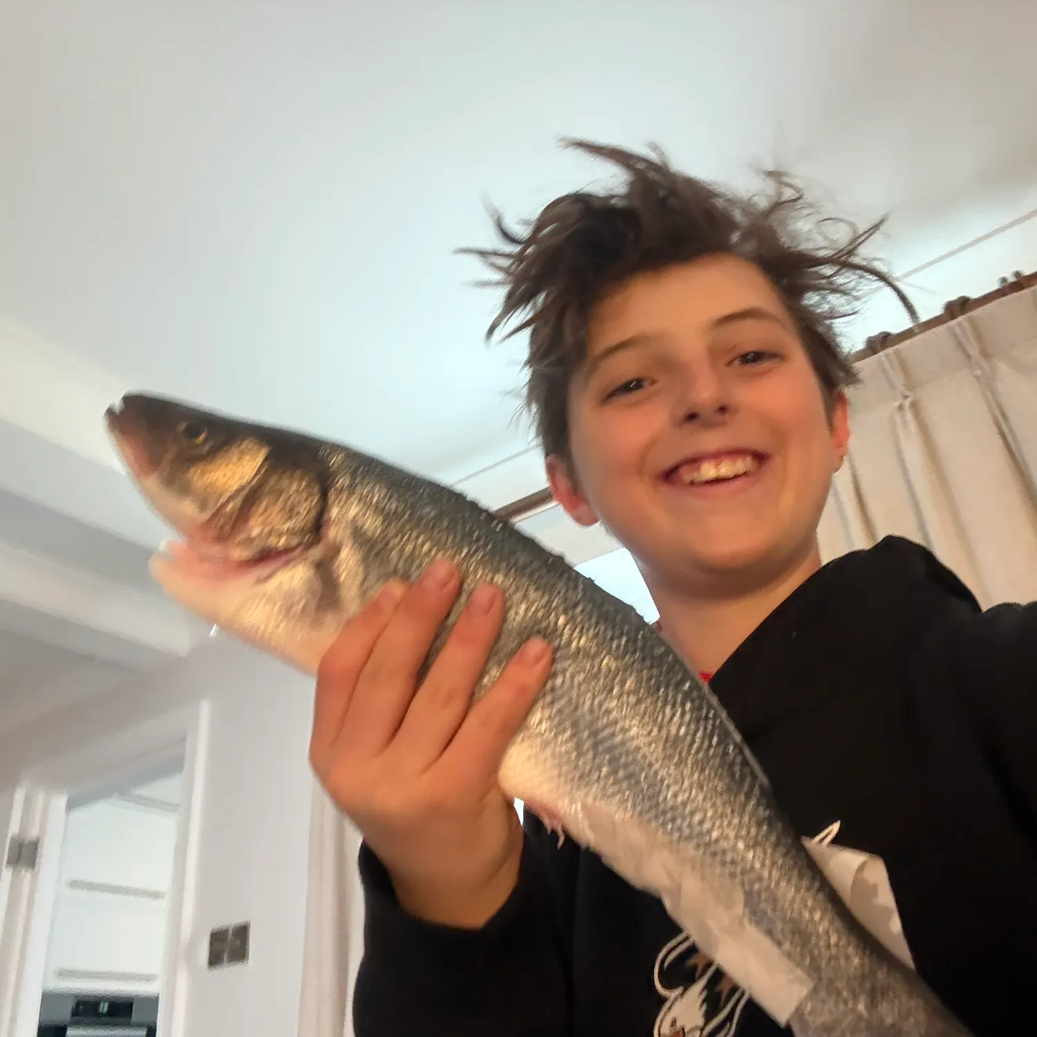 The most recent European seabass catches on Fishbrain