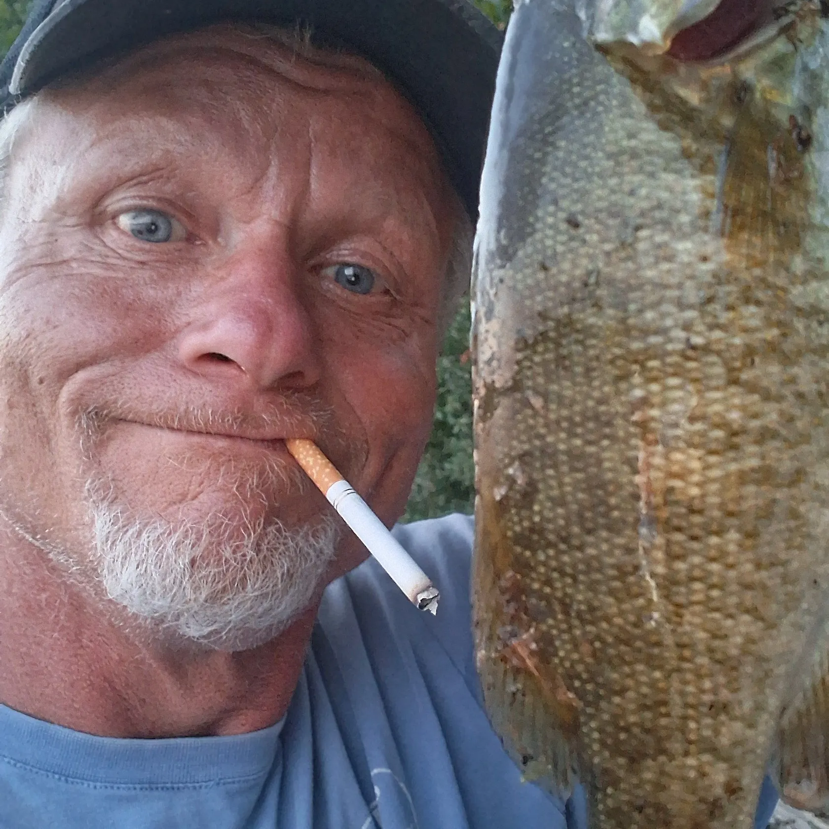 Smallmouth bass caught on Fishbrain