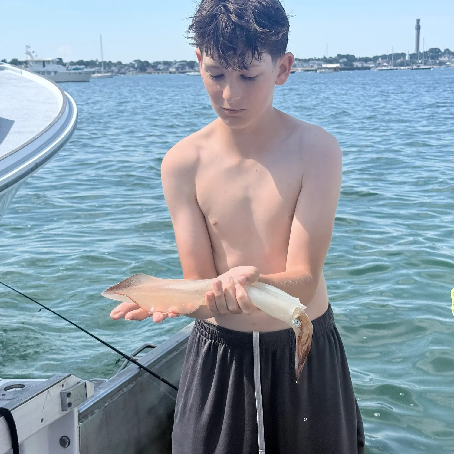 The most recent Longfin inshore squid catches on Fishbrain