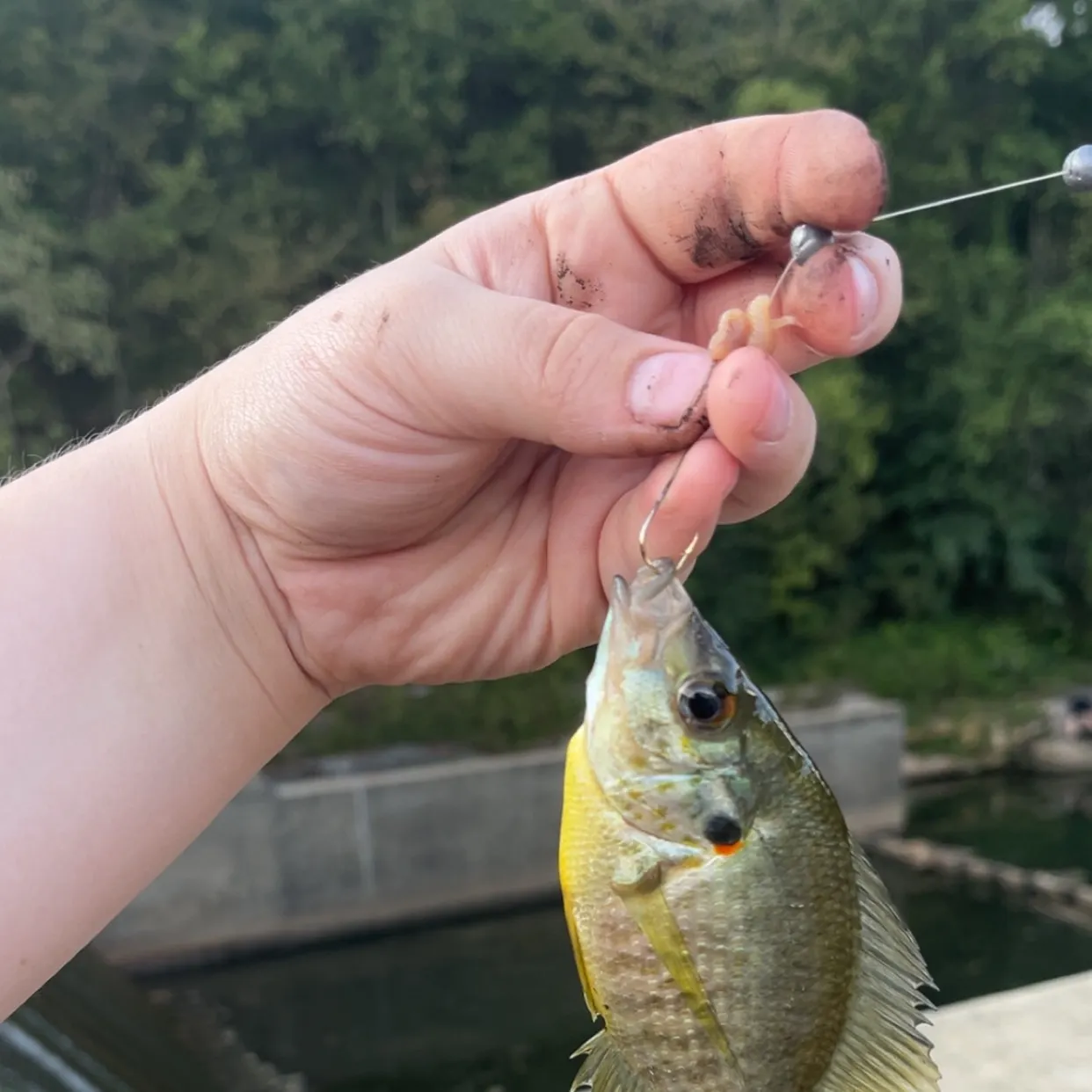 catch
