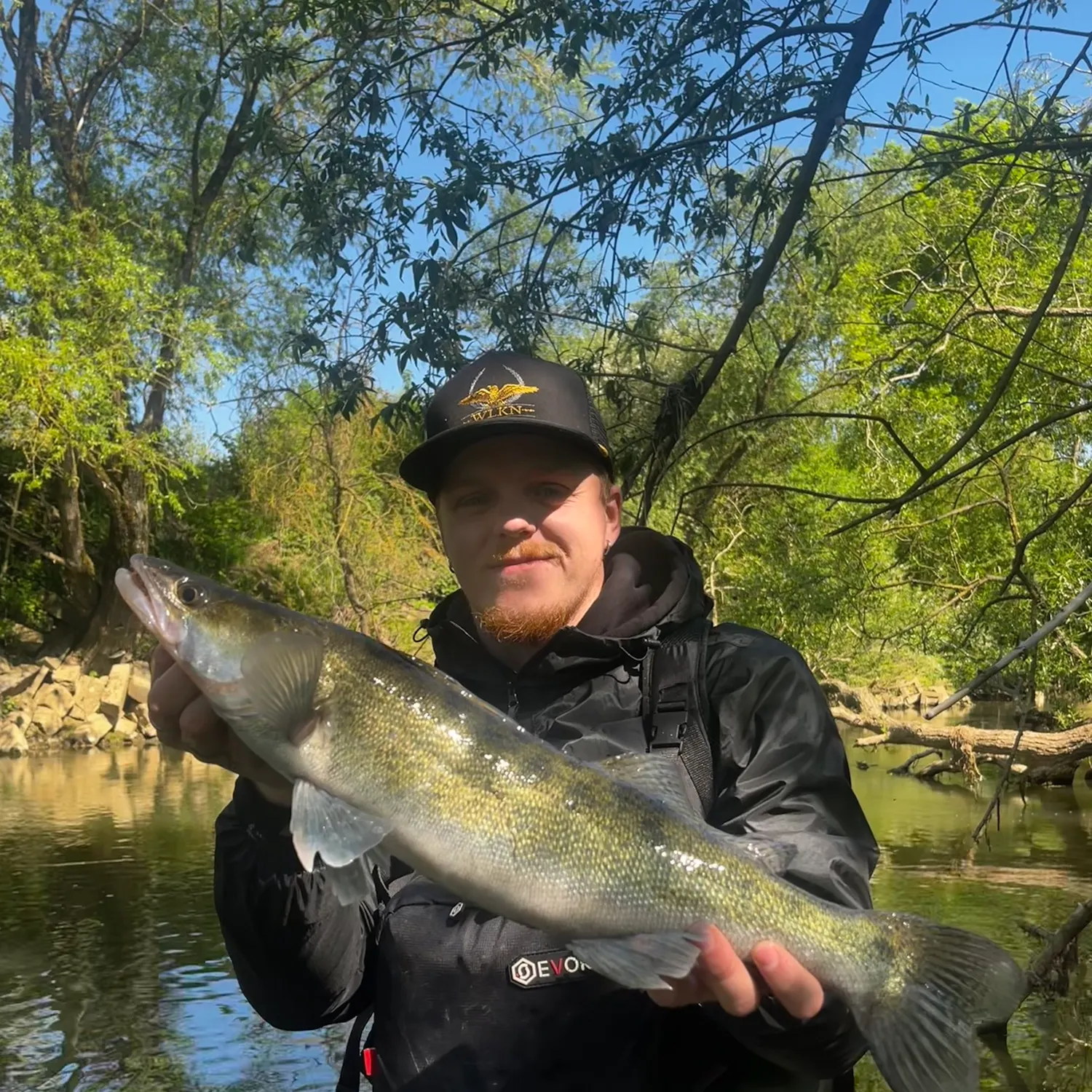 most liked catch image