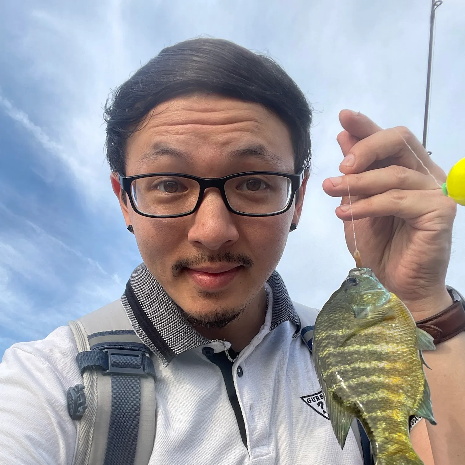 Bluegill caught on Fishbrain