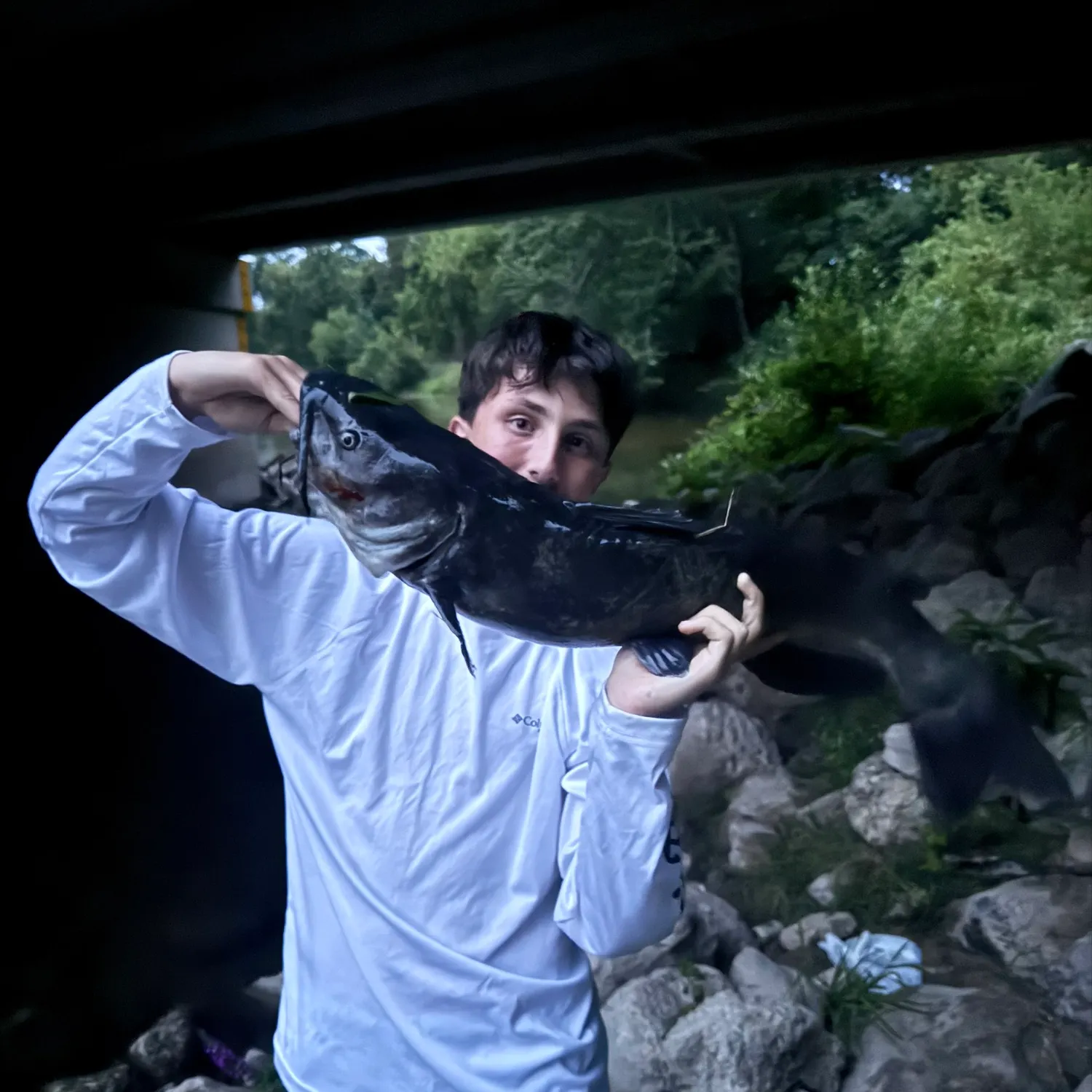 Channel catfish caught on Fishbrain