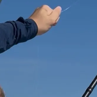 The most recent Areolate grouper catches on Fishbrain