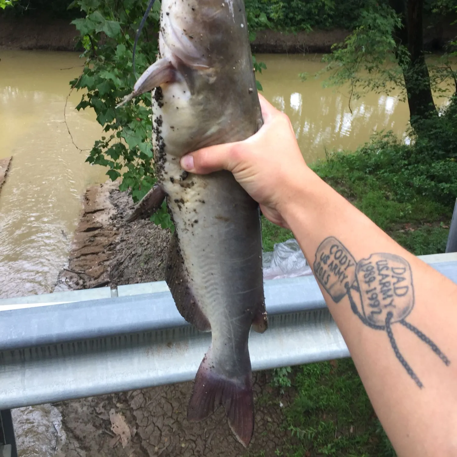 recently logged catches