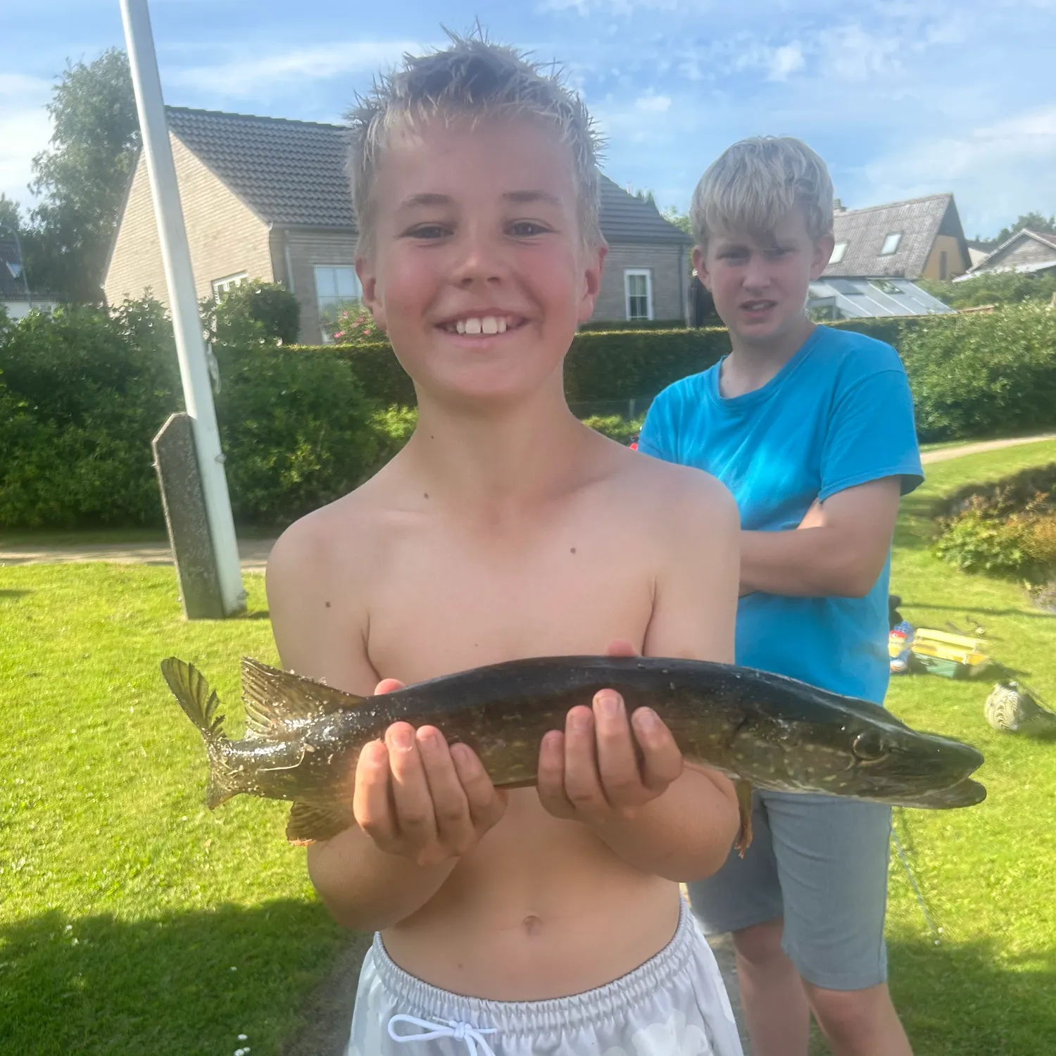 Northern pike caught on Fishbrain