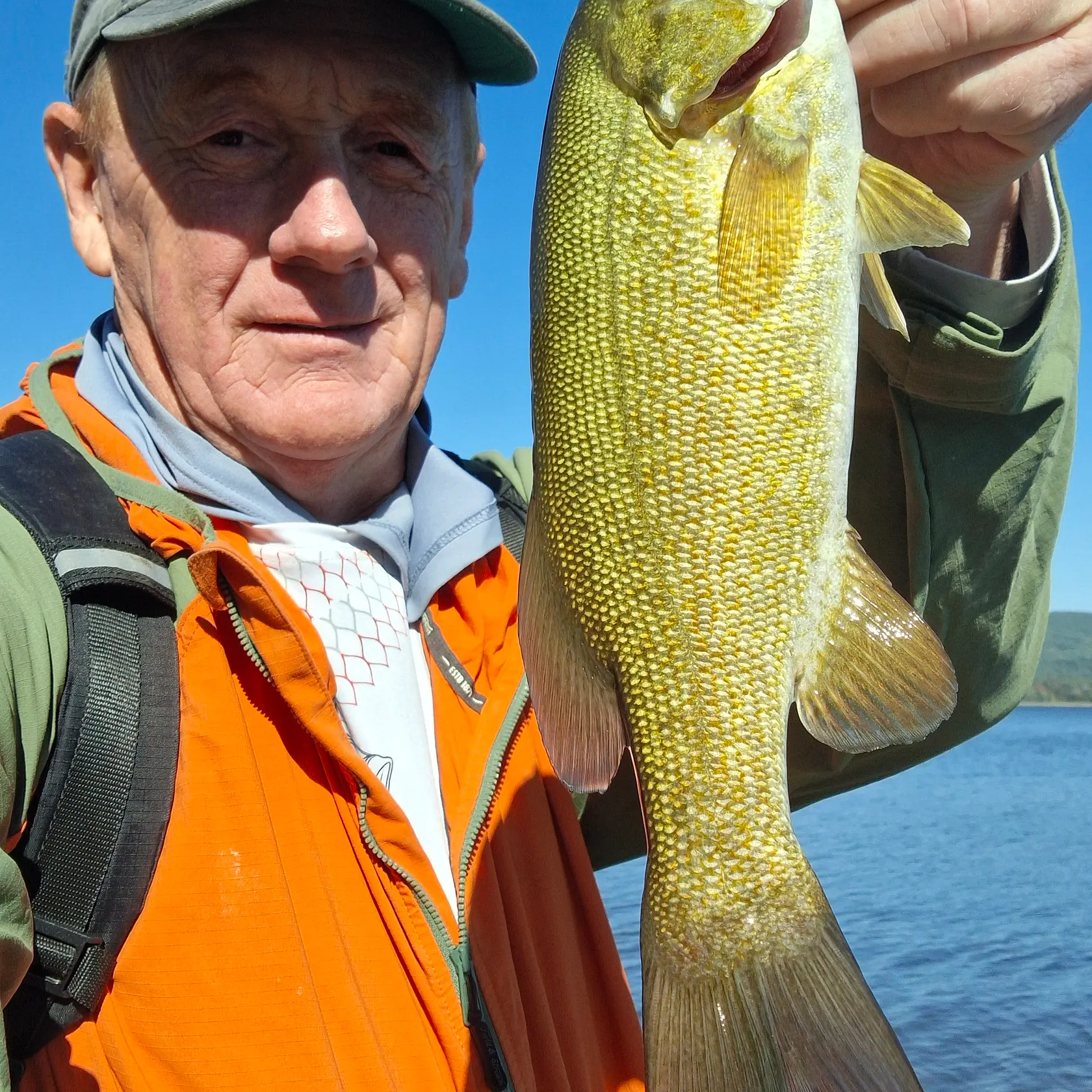 Smallmouth bass caught on Fishbrain
