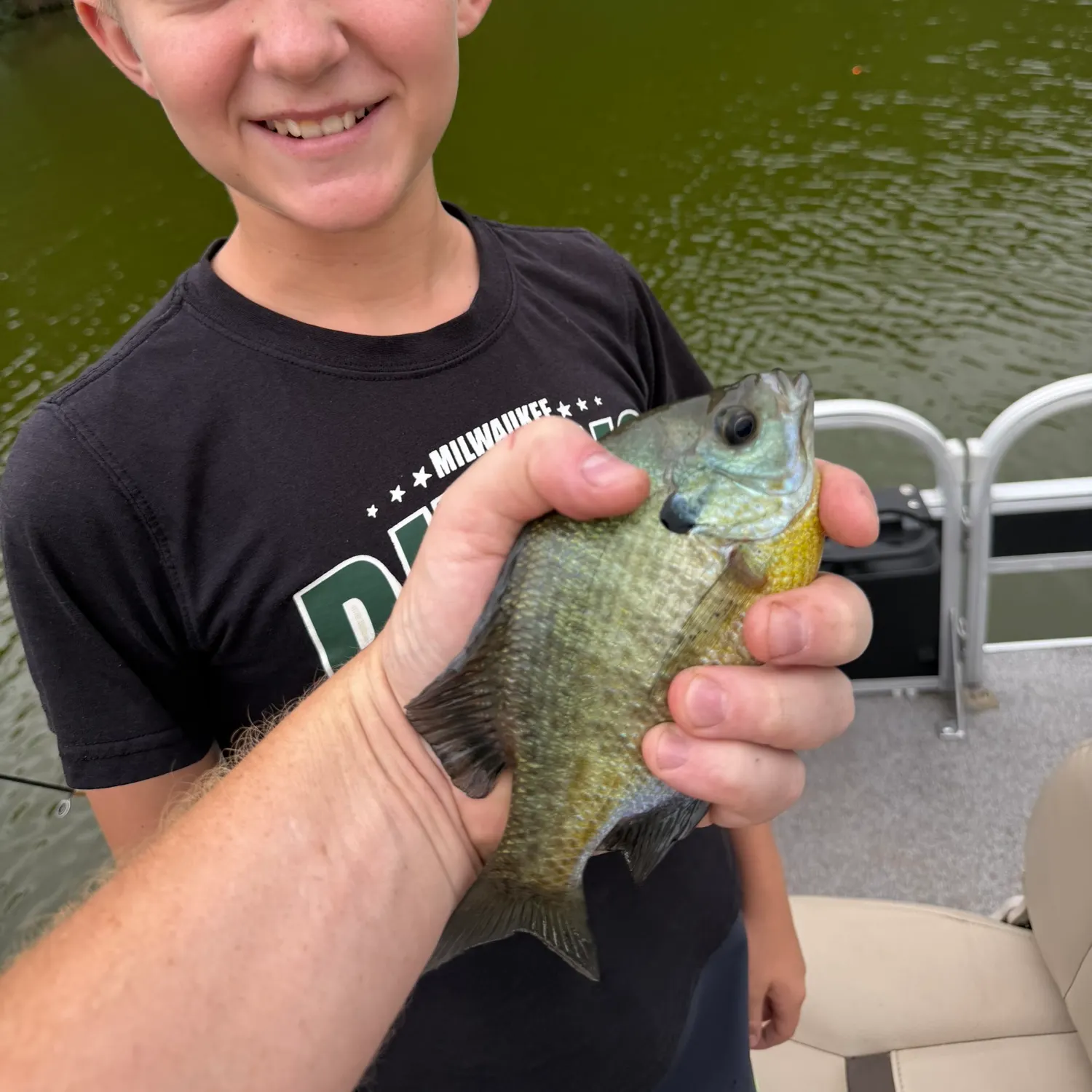 Bluegill caught on Fishbrain