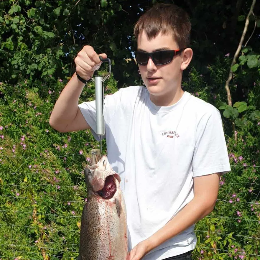 Rainbow trout caught on Fishbrain
