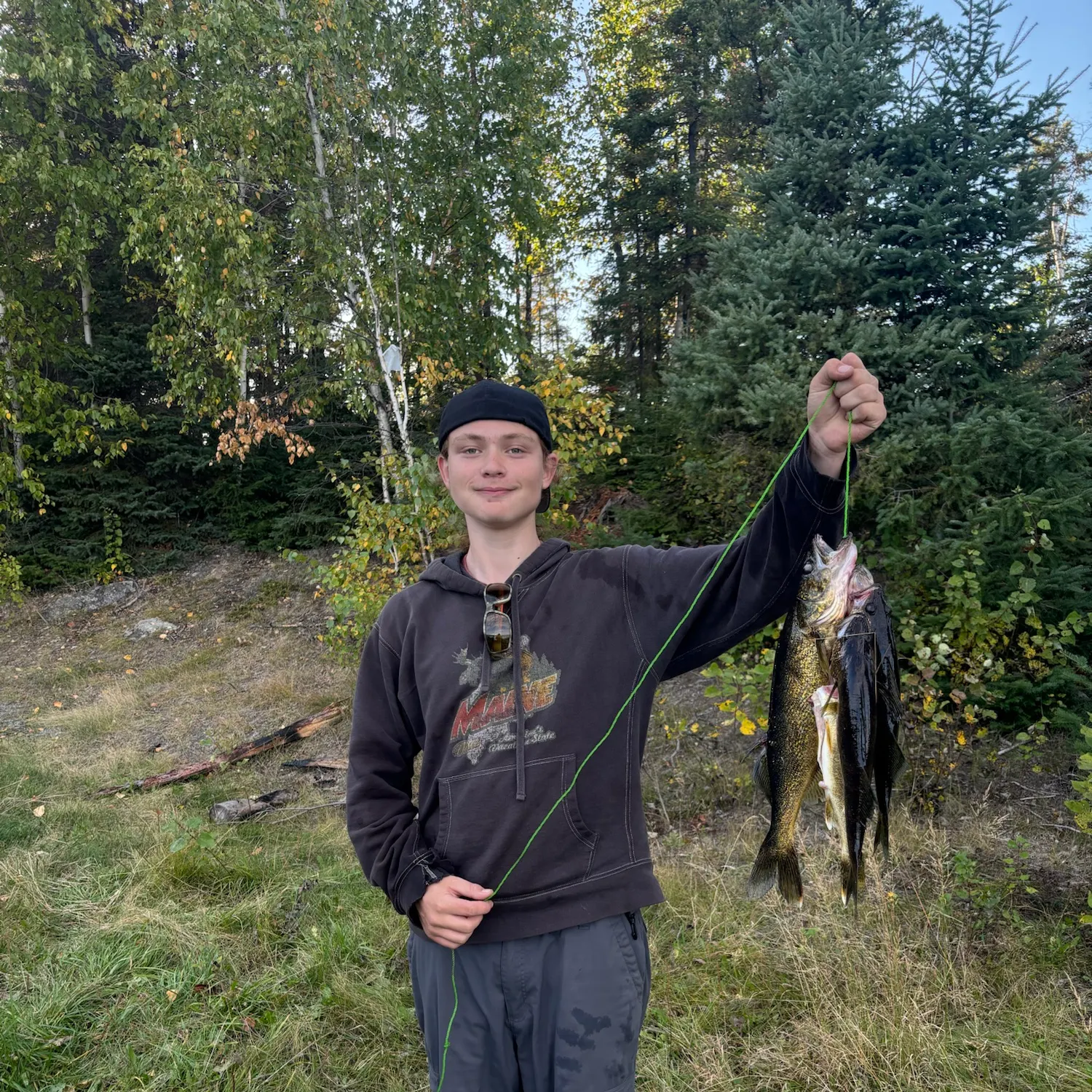Walleye caught on Fishbrain