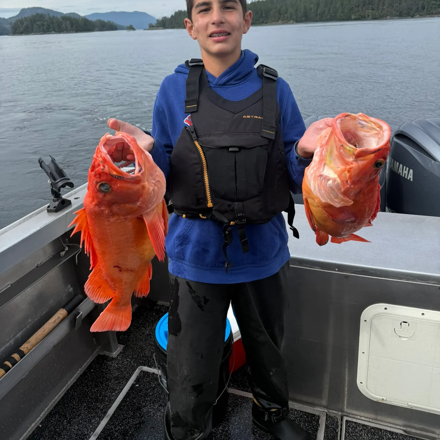 The most recent Yelloweye rockfish catches on Fishbrain