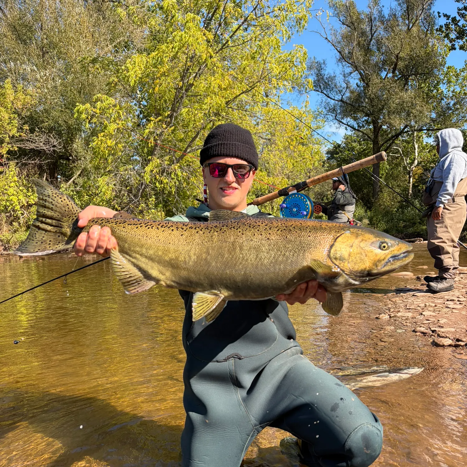 Chinook salmon caught on Fishbrain