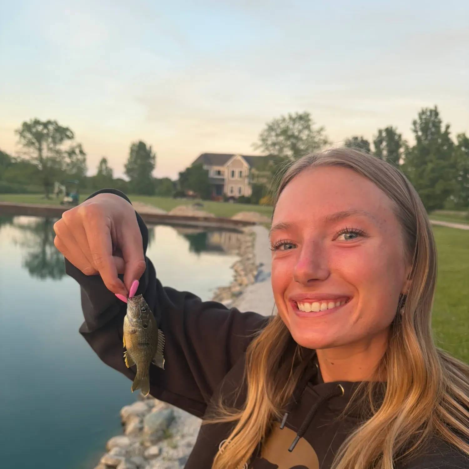 Green sunfish caught on Fishbrain
