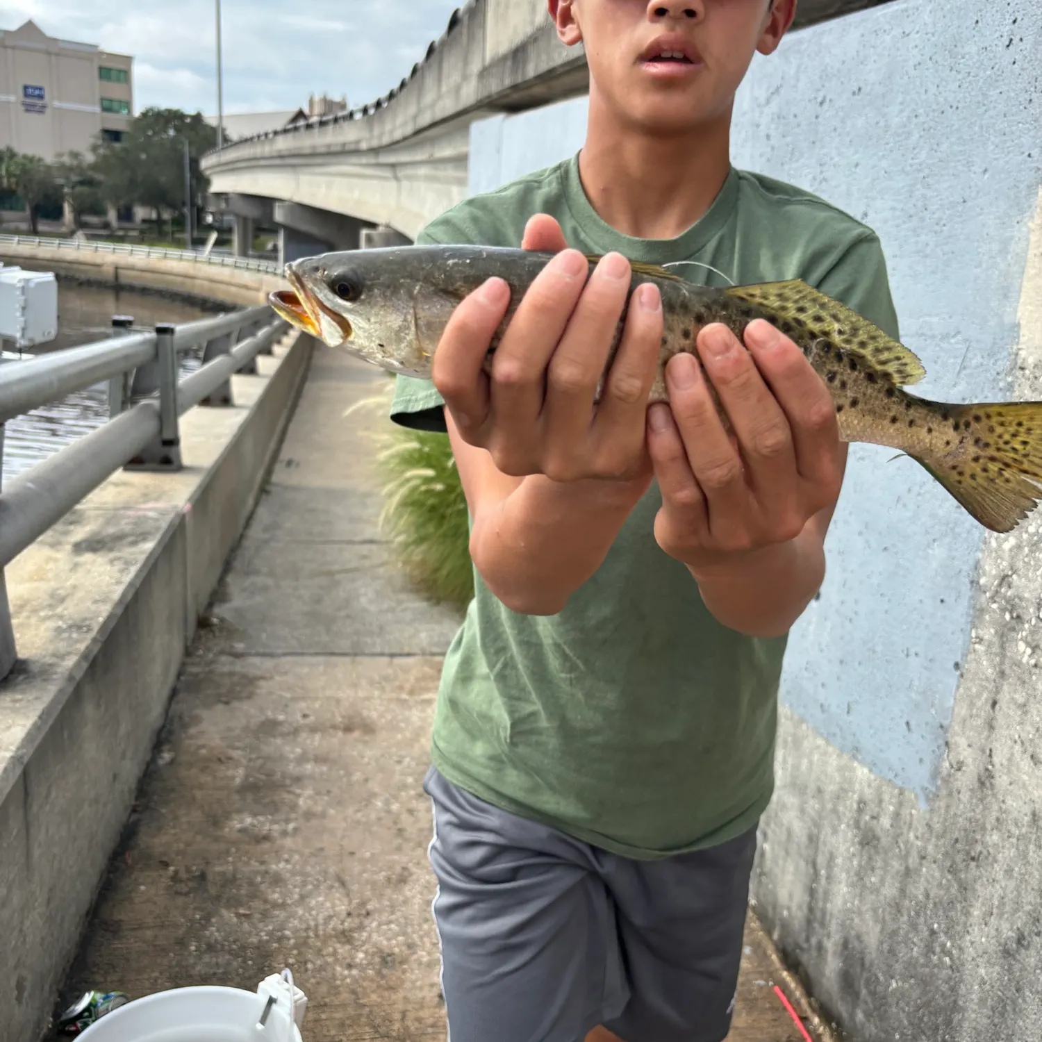 Spotted seatrout caught on Fishbrain