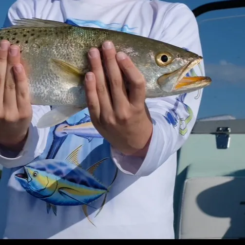 Spotted seatrout caught on Fishbrain