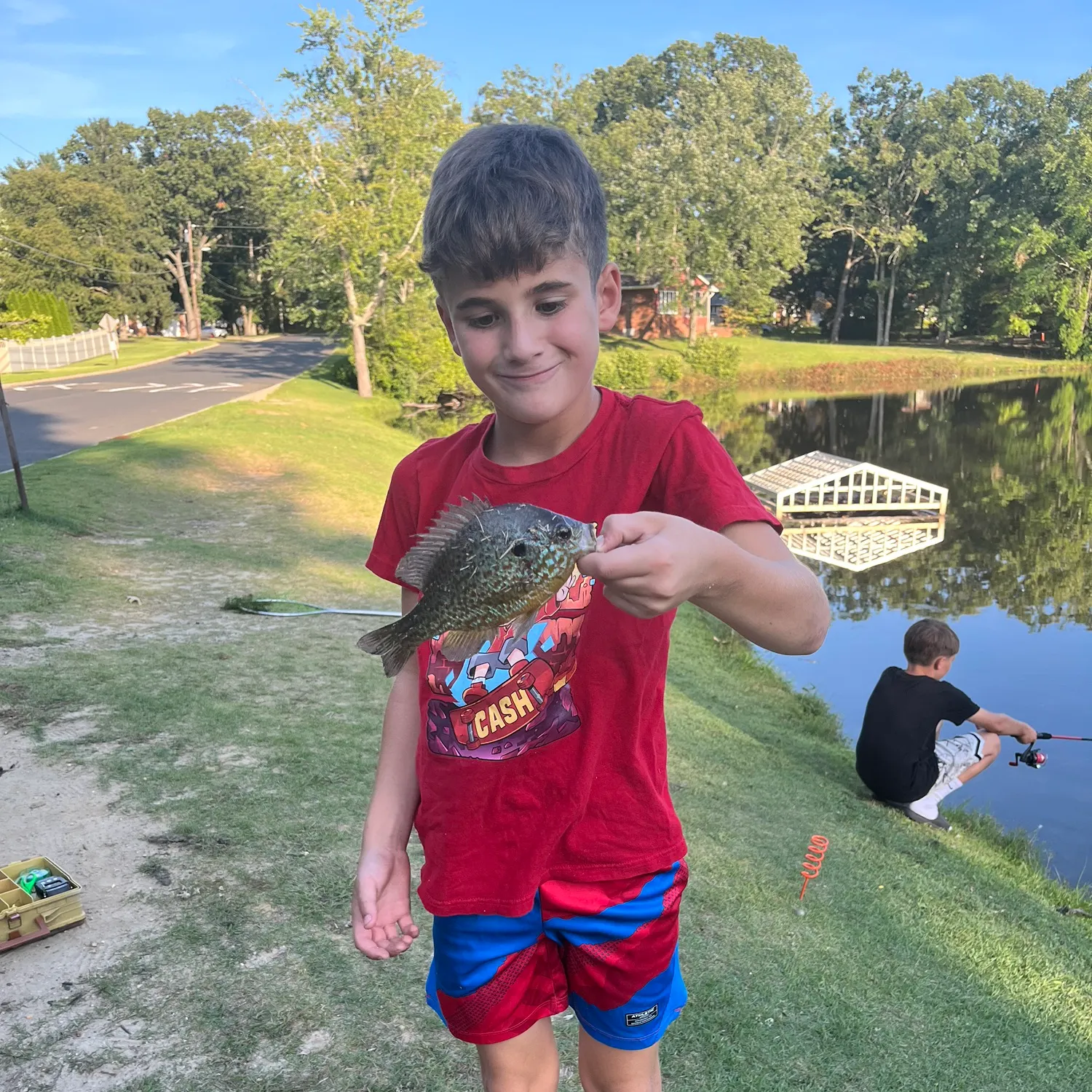 Orangespotted sunfish caught on Fishbrain