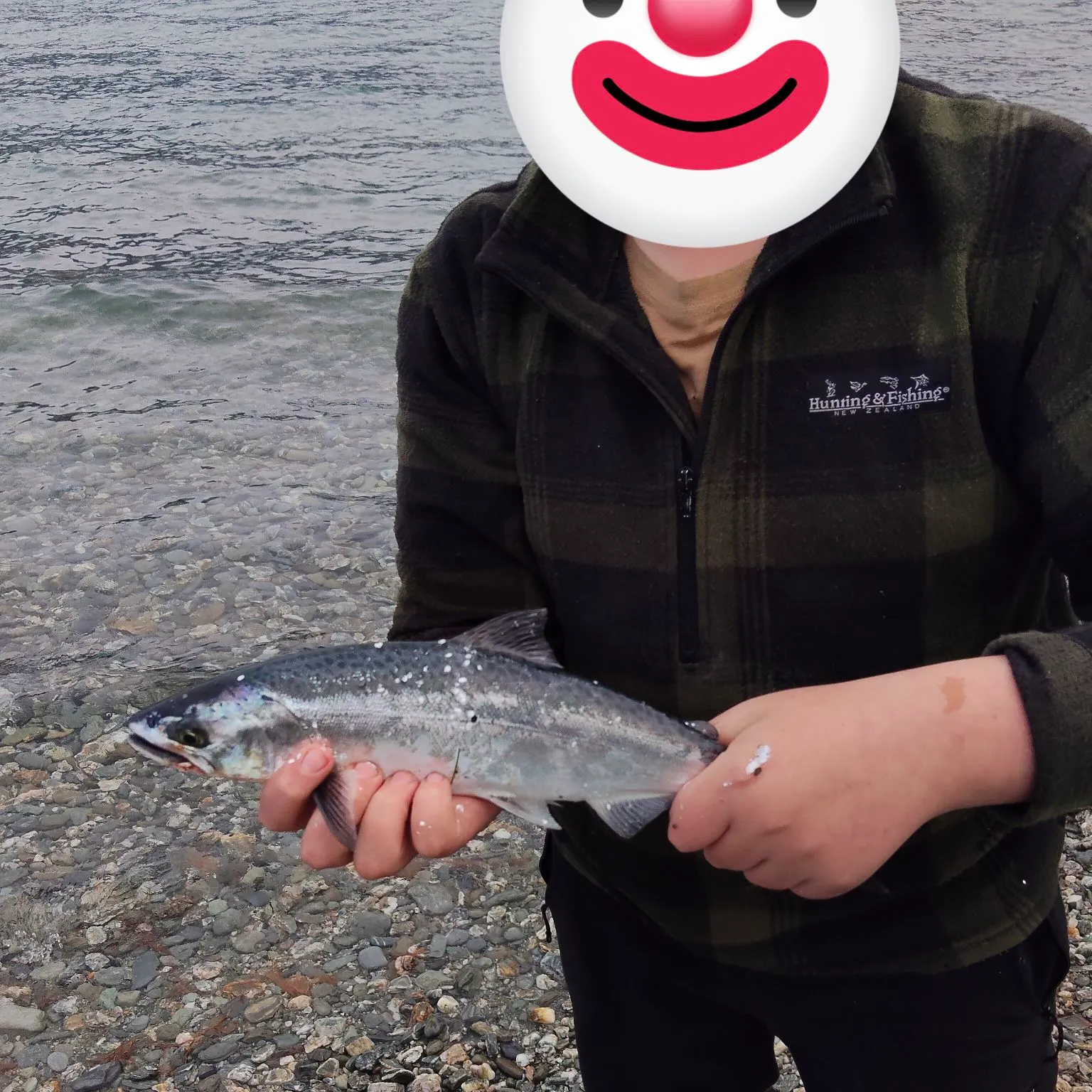 Chinook salmon caught on Fishbrain