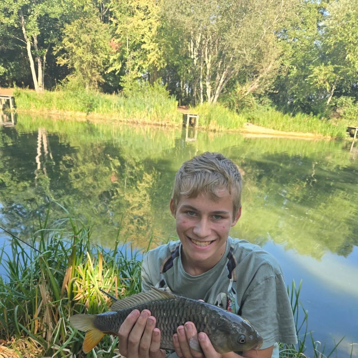 Common carp caught on Fishbrain