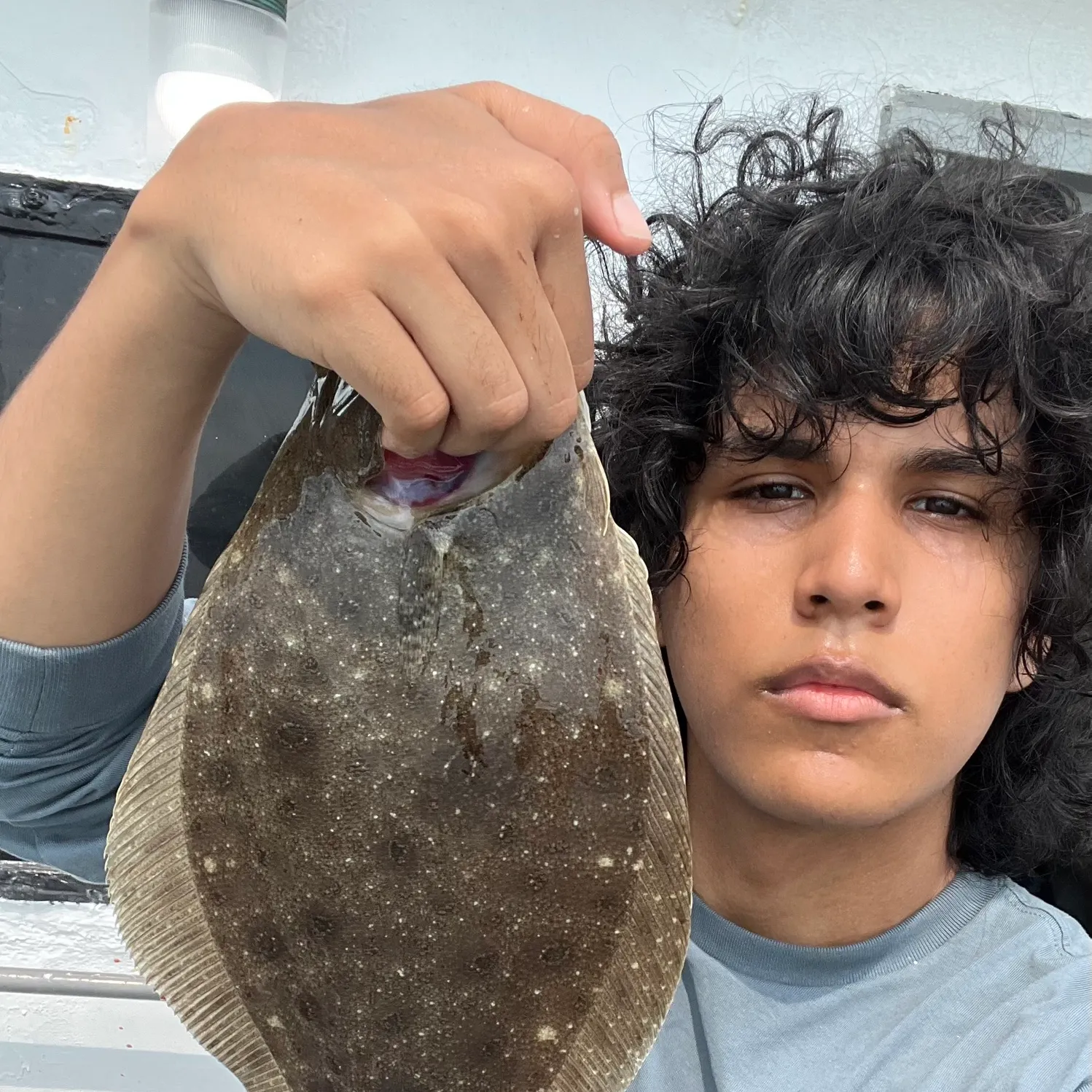 The most recent Summer flounder catches on Fishbrain