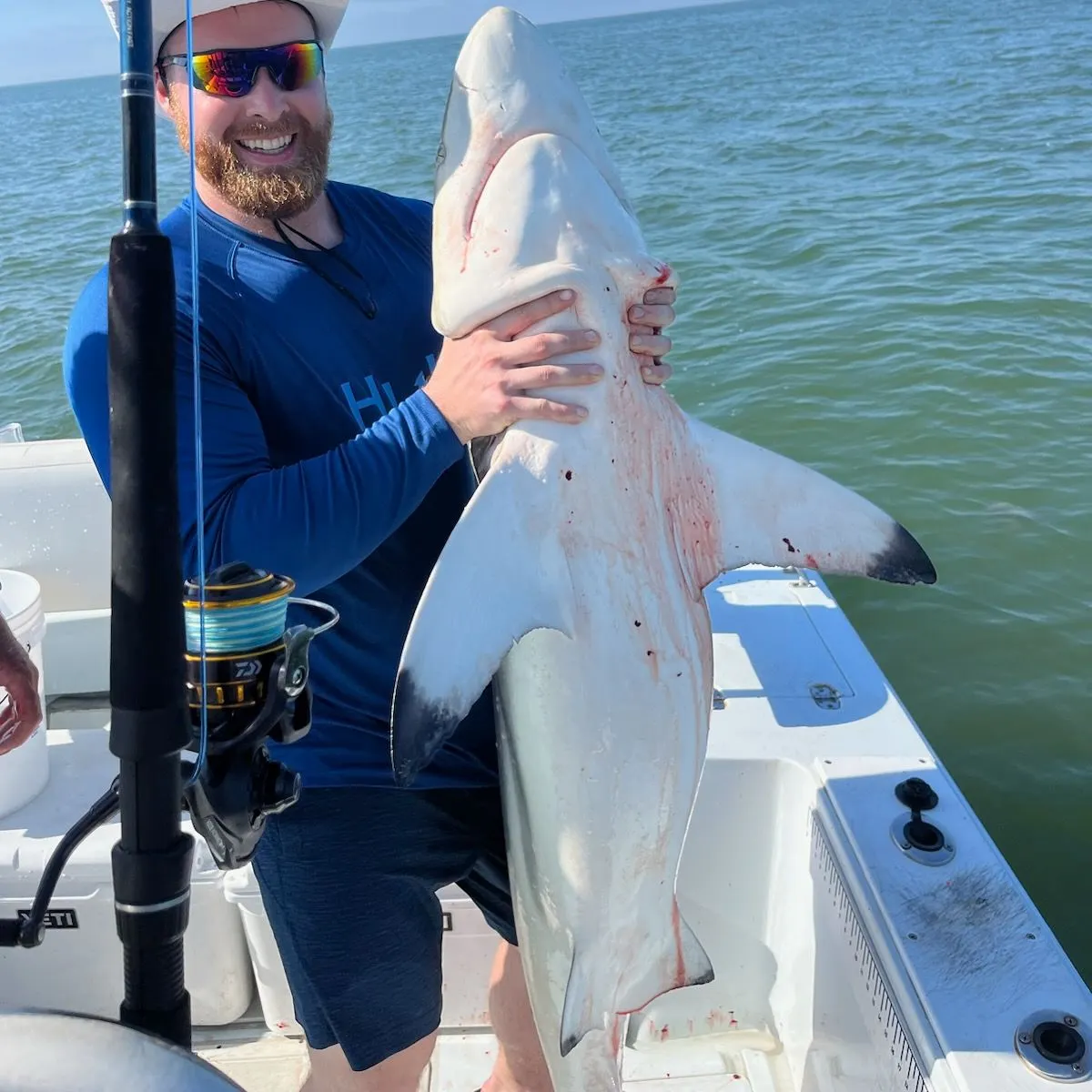 The most recent Blacktip shark catches on Fishbrain