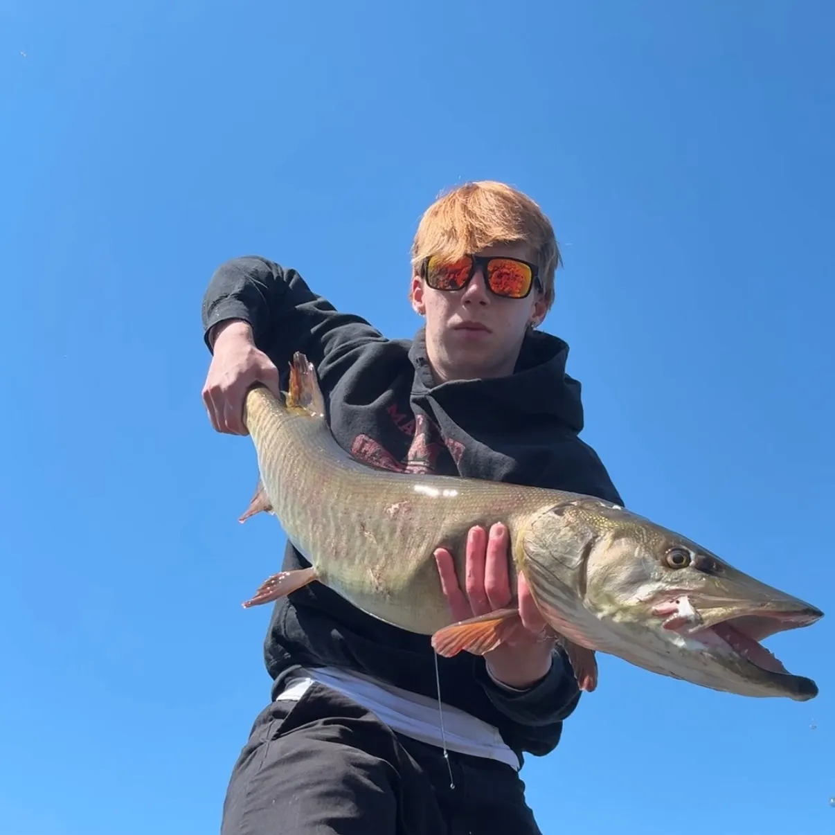 The most recent Muskellunge catches on Fishbrain