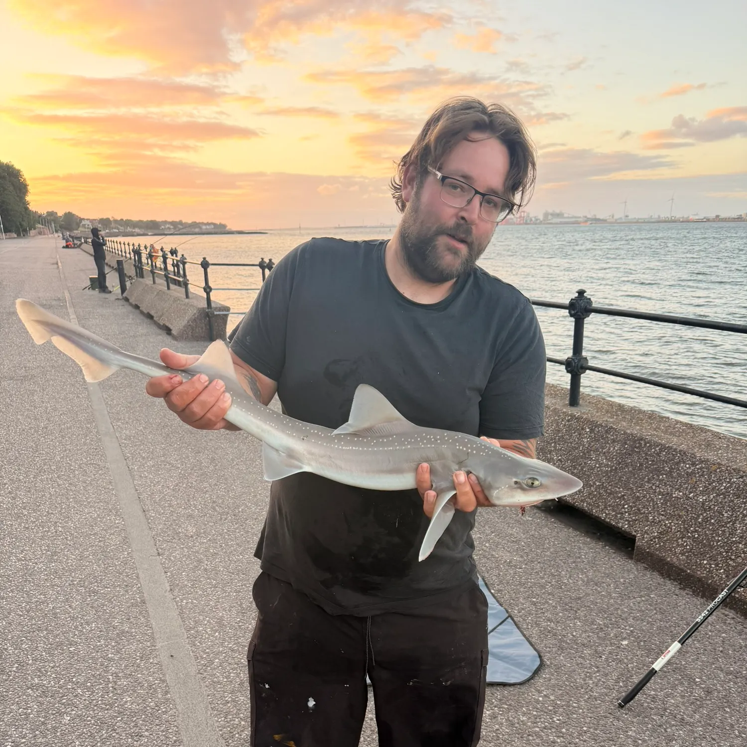 Starry smooth-hound caught on Fishbrain