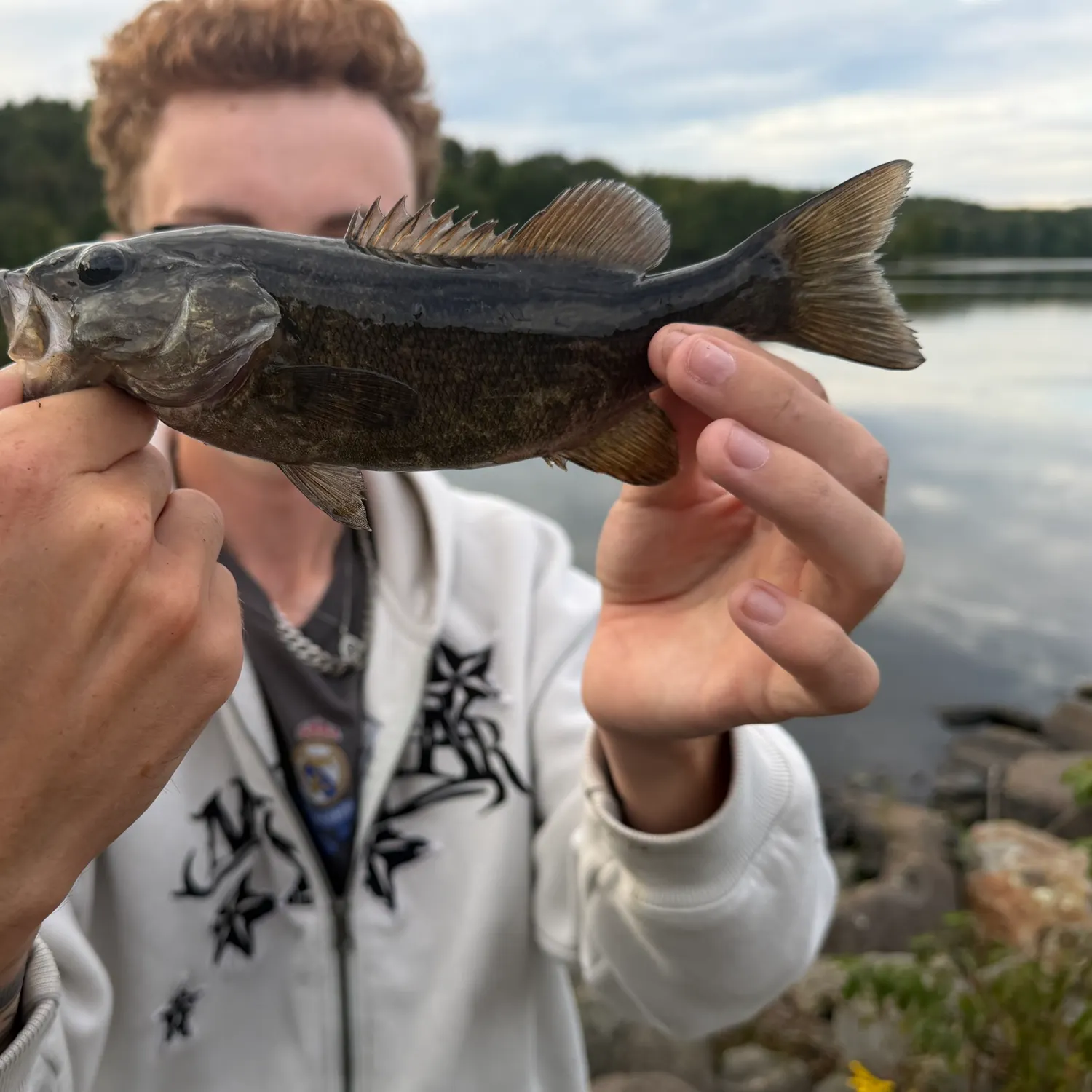 Smallmouth bass caught on Fishbrain