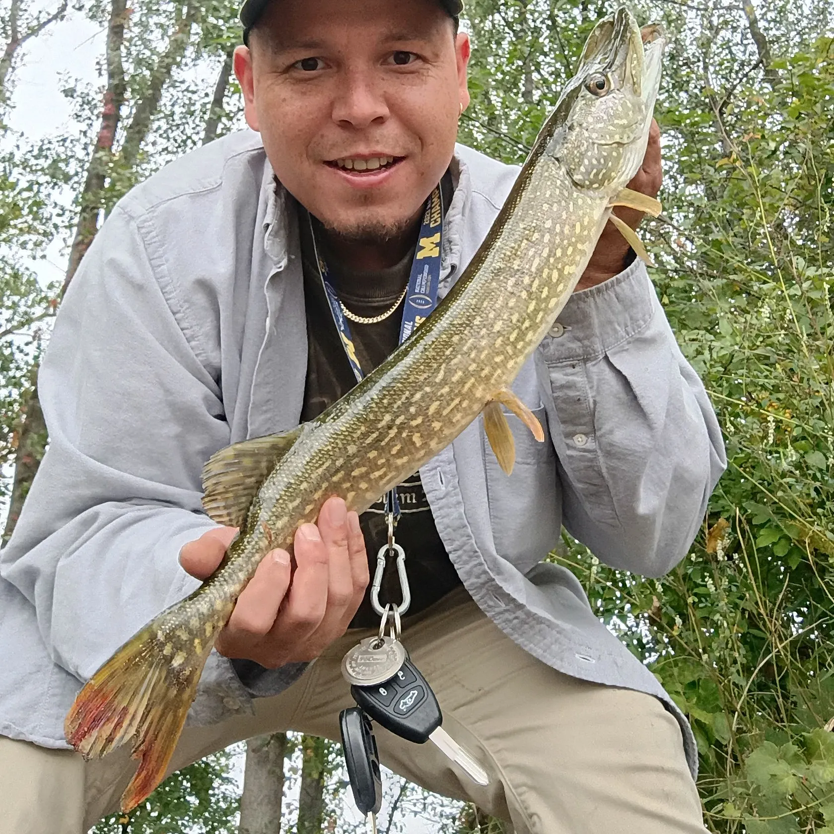 Northern pike caught on Fishbrain