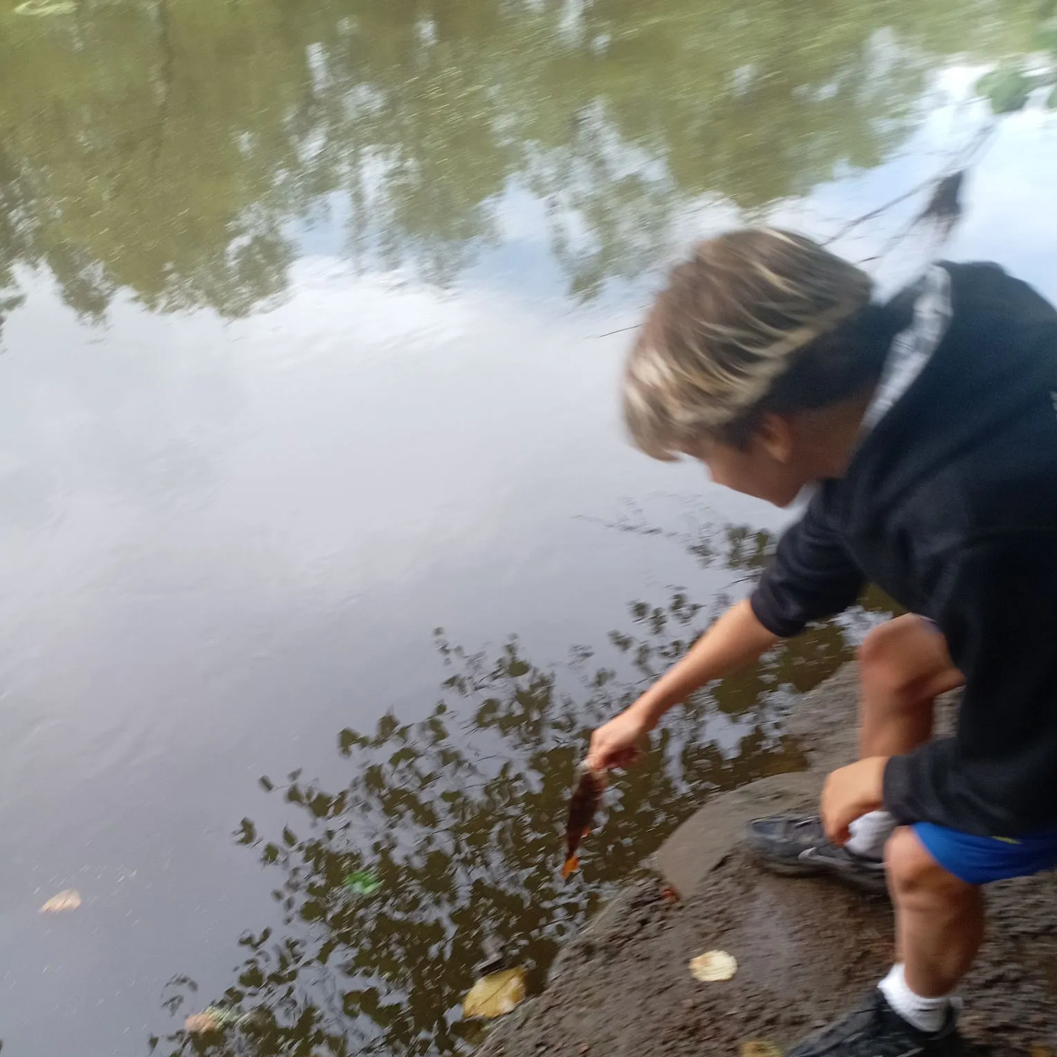 European chub caught on Fishbrain