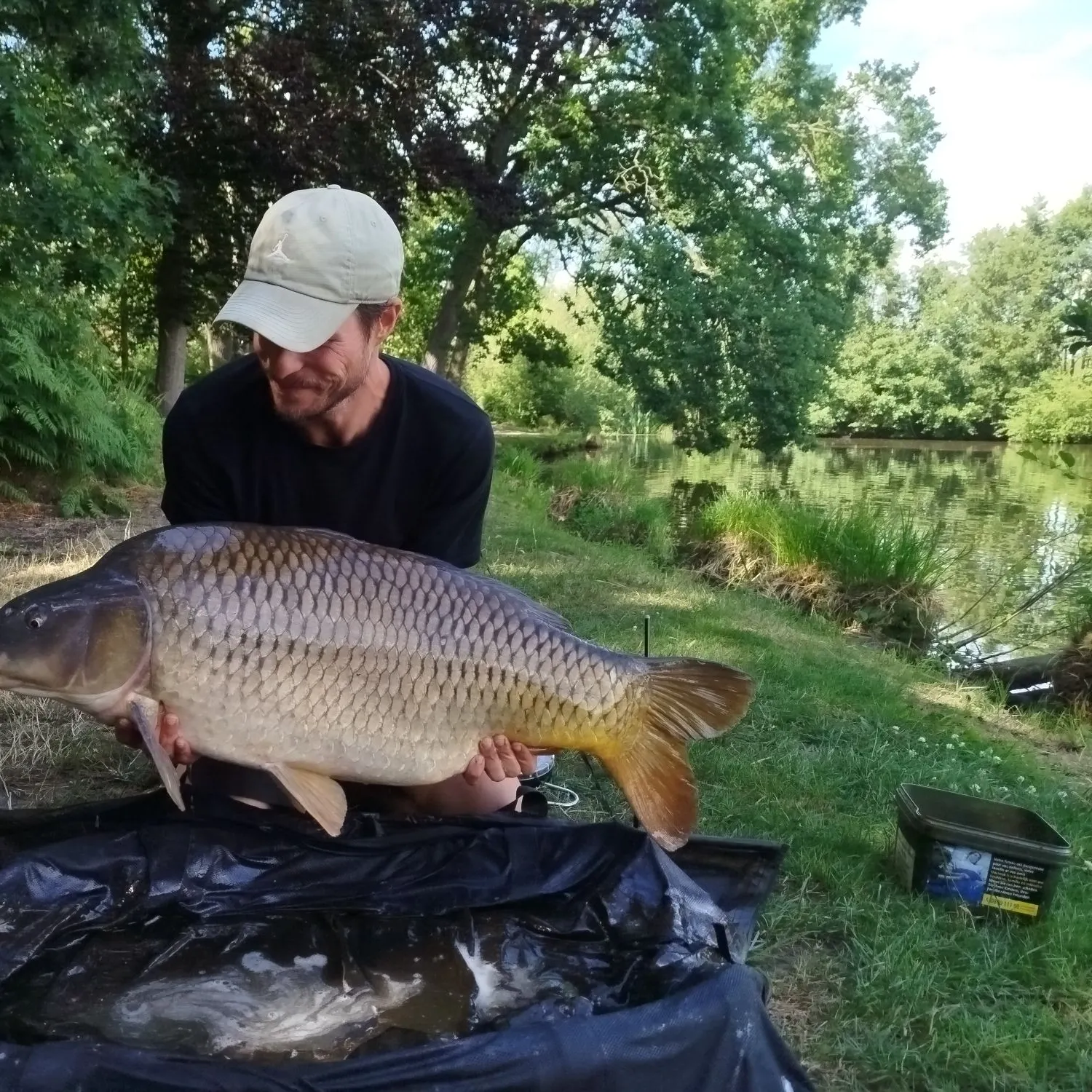 Common carp caught on Fishbrain