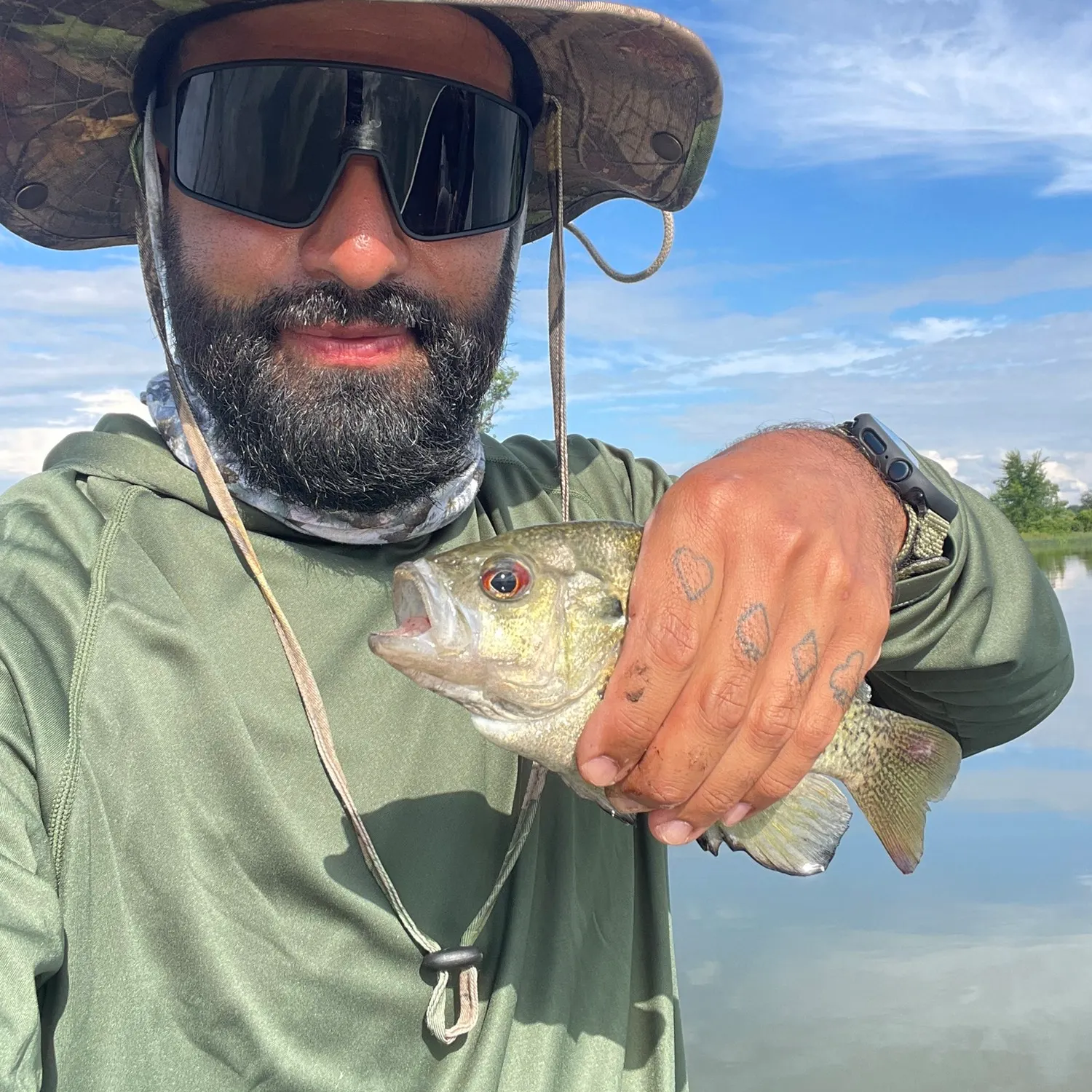 recently logged catches