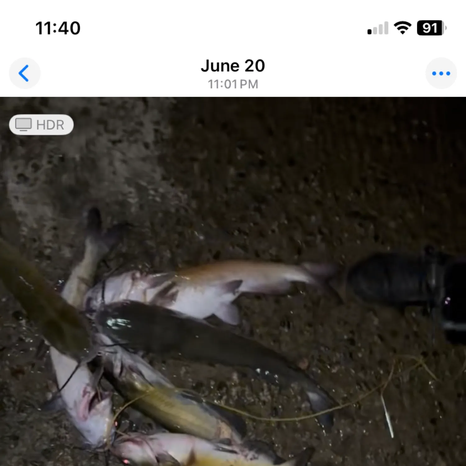 catch