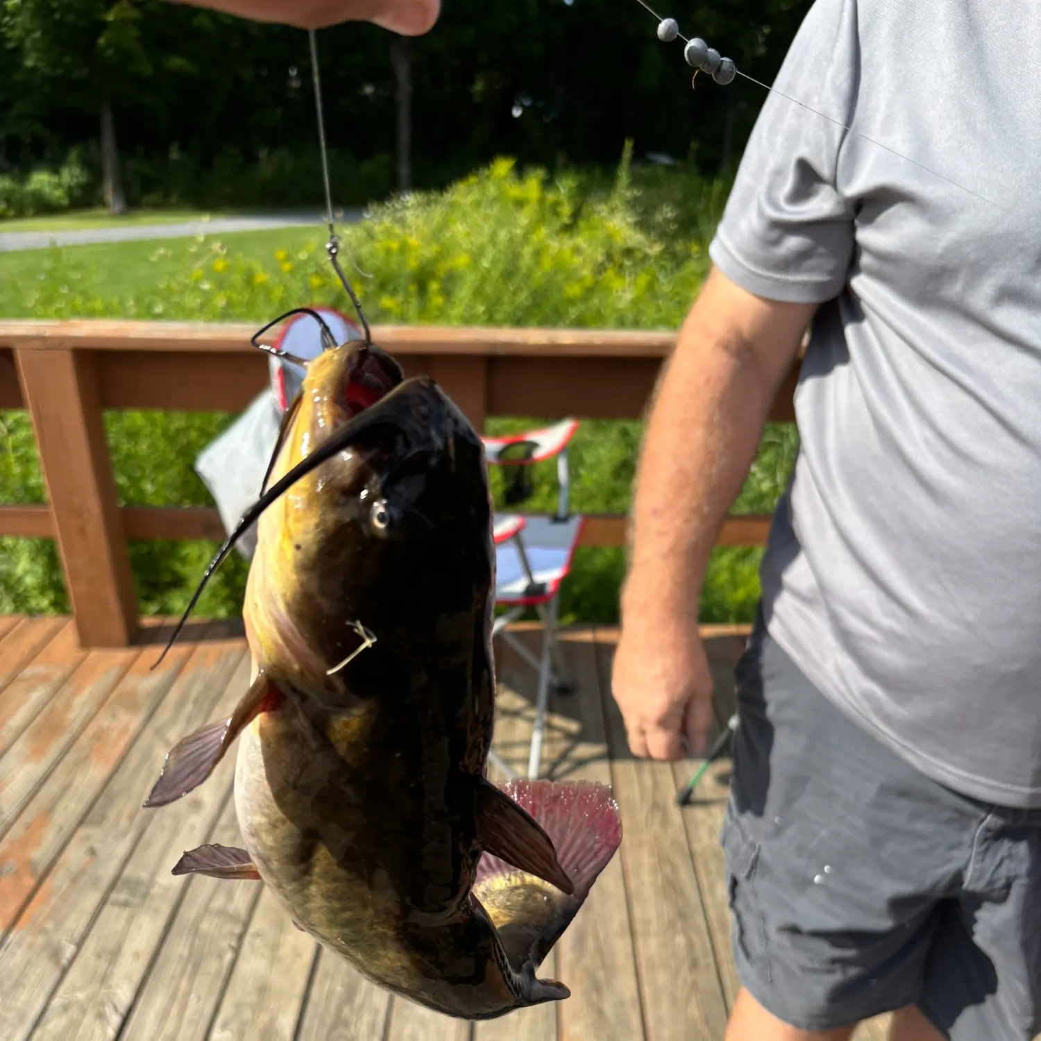 catch