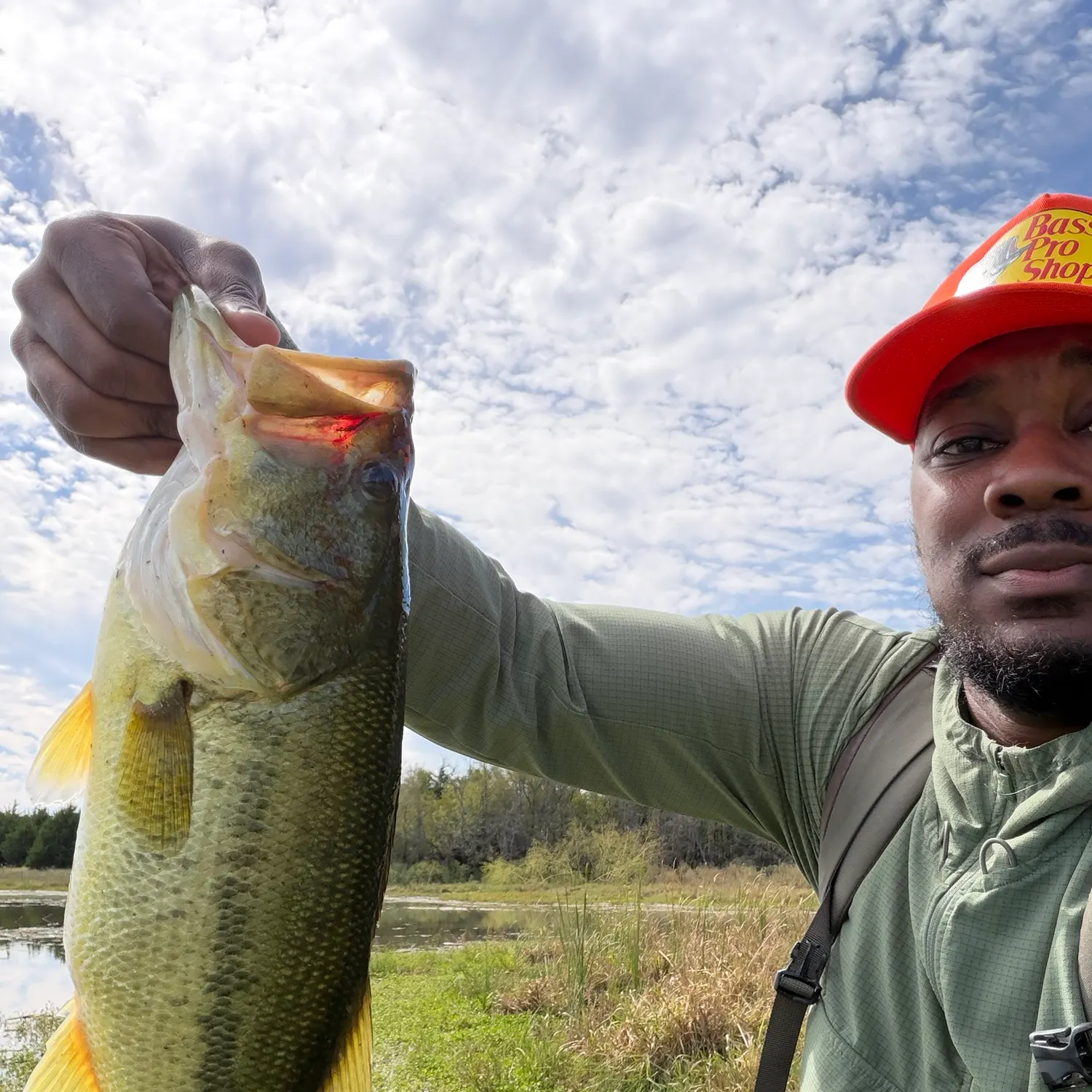 Largemouth bass caught on Fishbrain