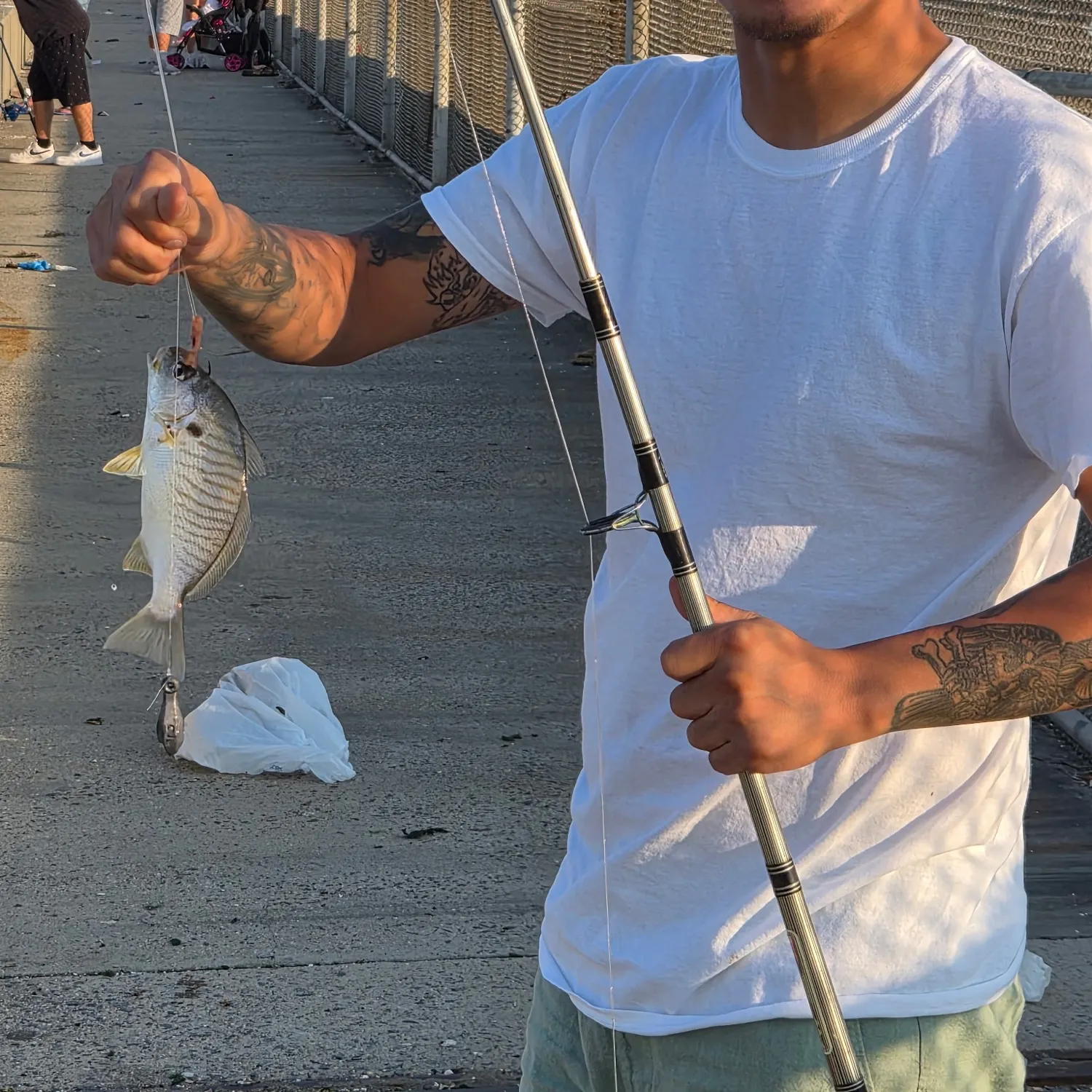 recently logged catches