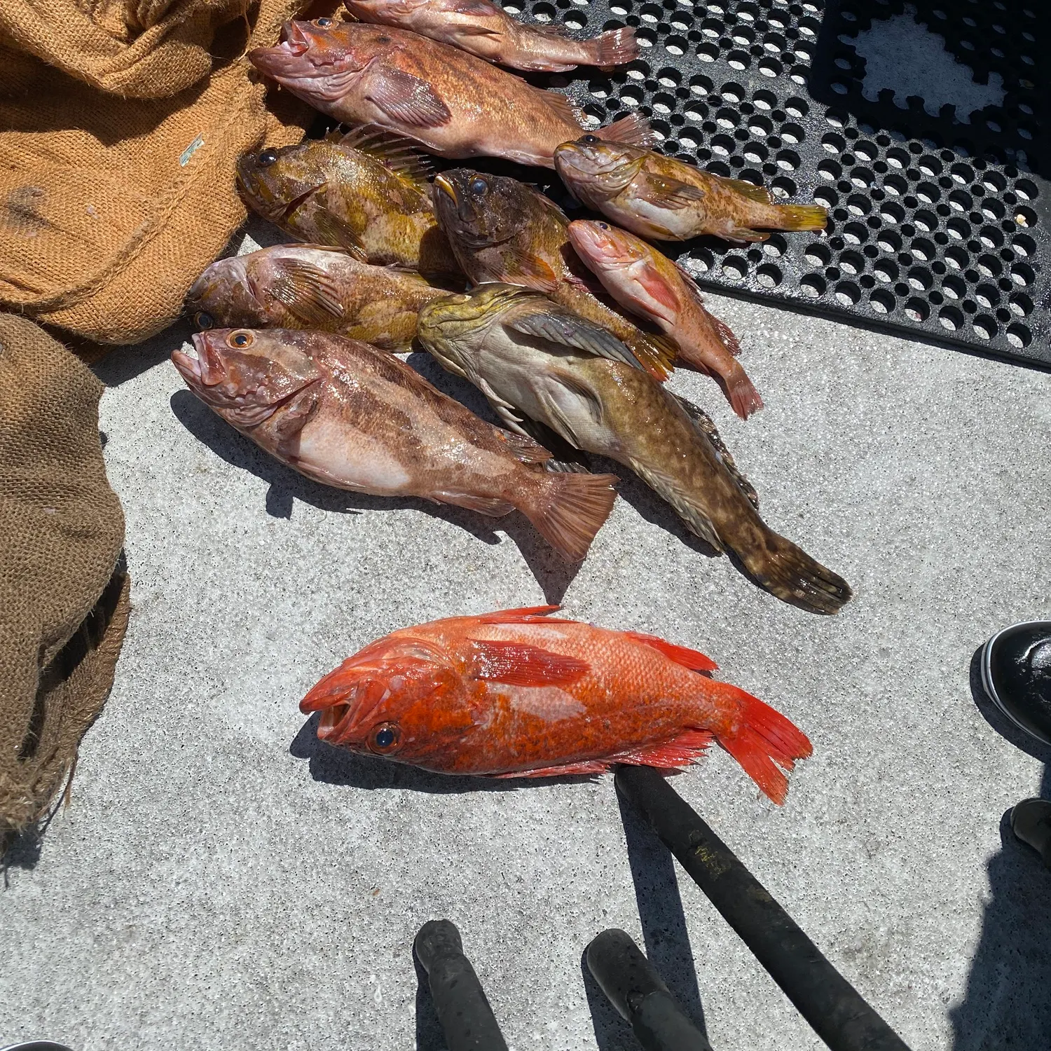 catch