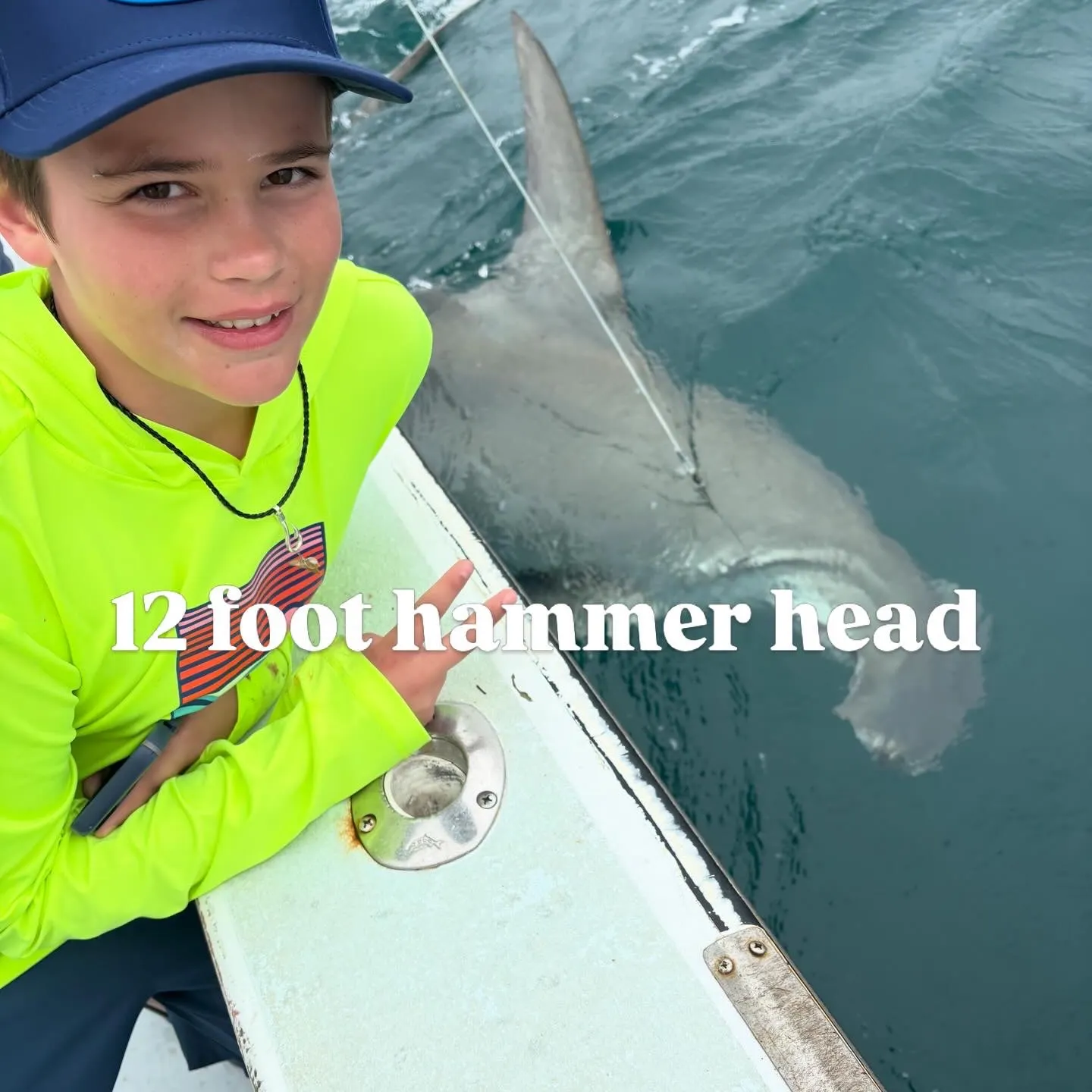 The most recent Great hammerhead shark catches on Fishbrain