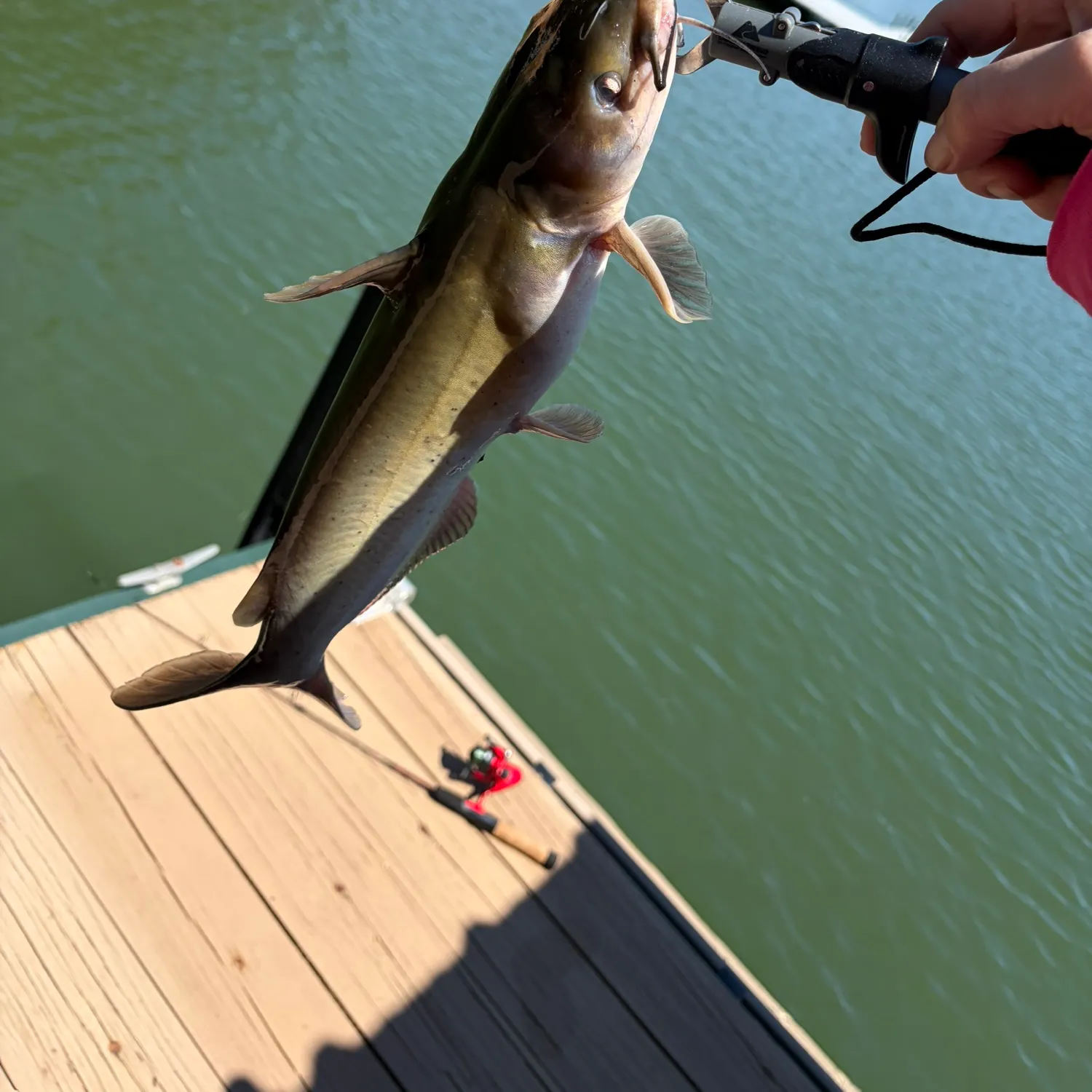 catch
